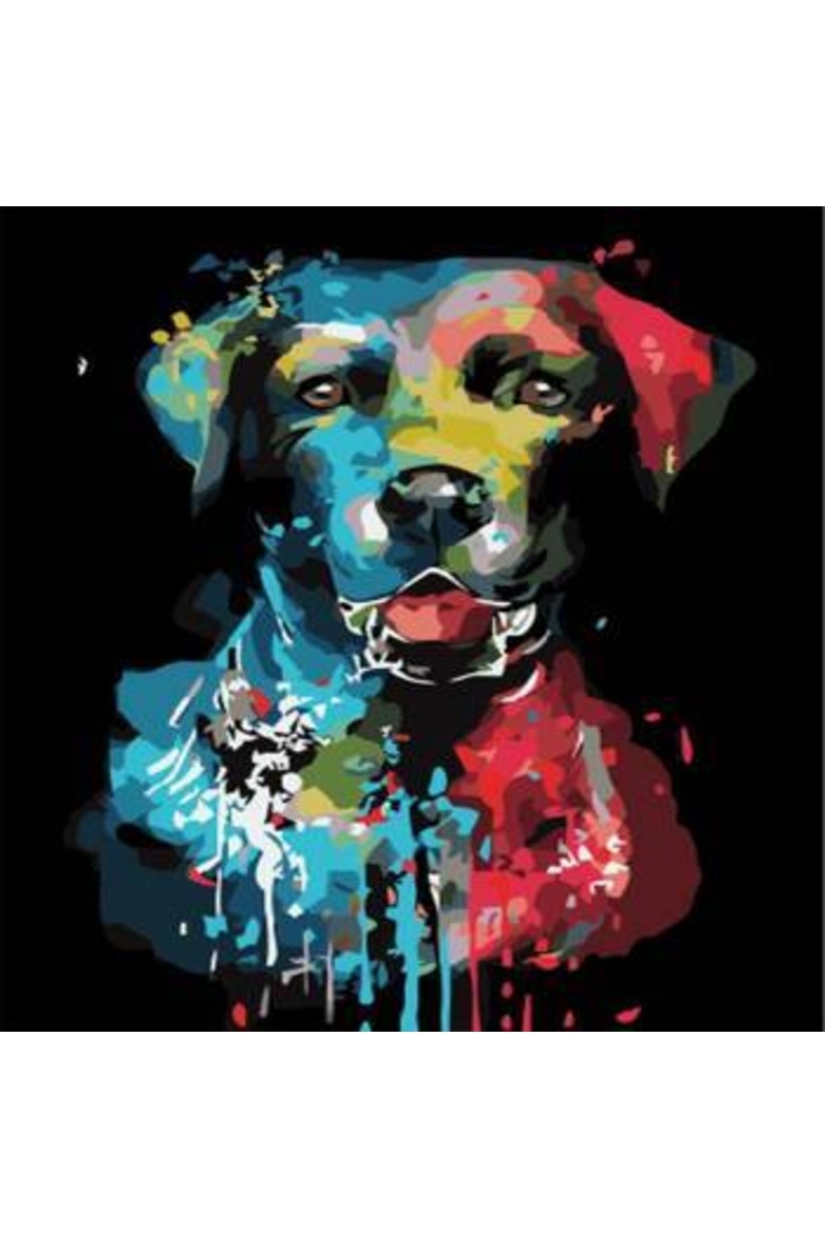 Sayılarla Boyama Seti Kasnaklı Renkli Dost 2