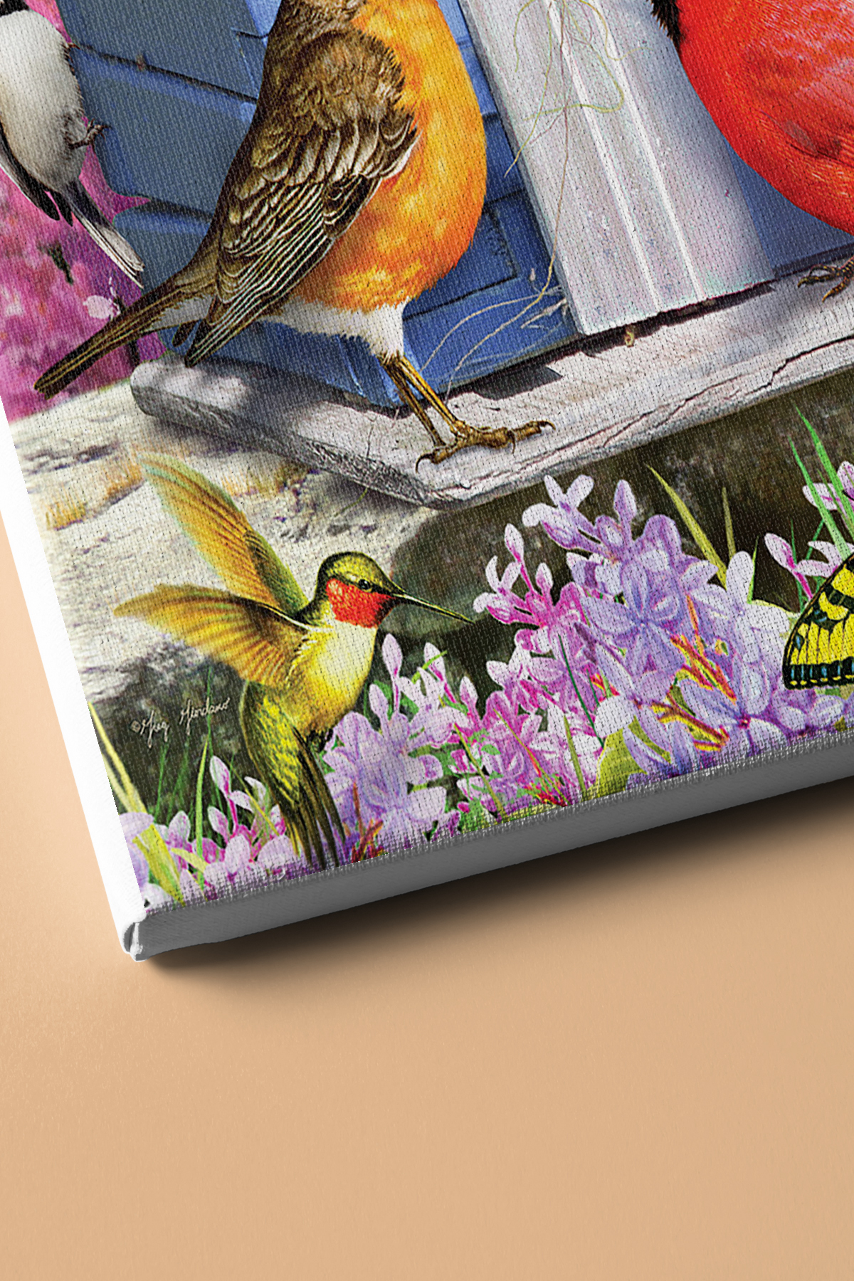 Sayılarla Boyama Seti Kasnaklı Kuşevi - Görsel 3