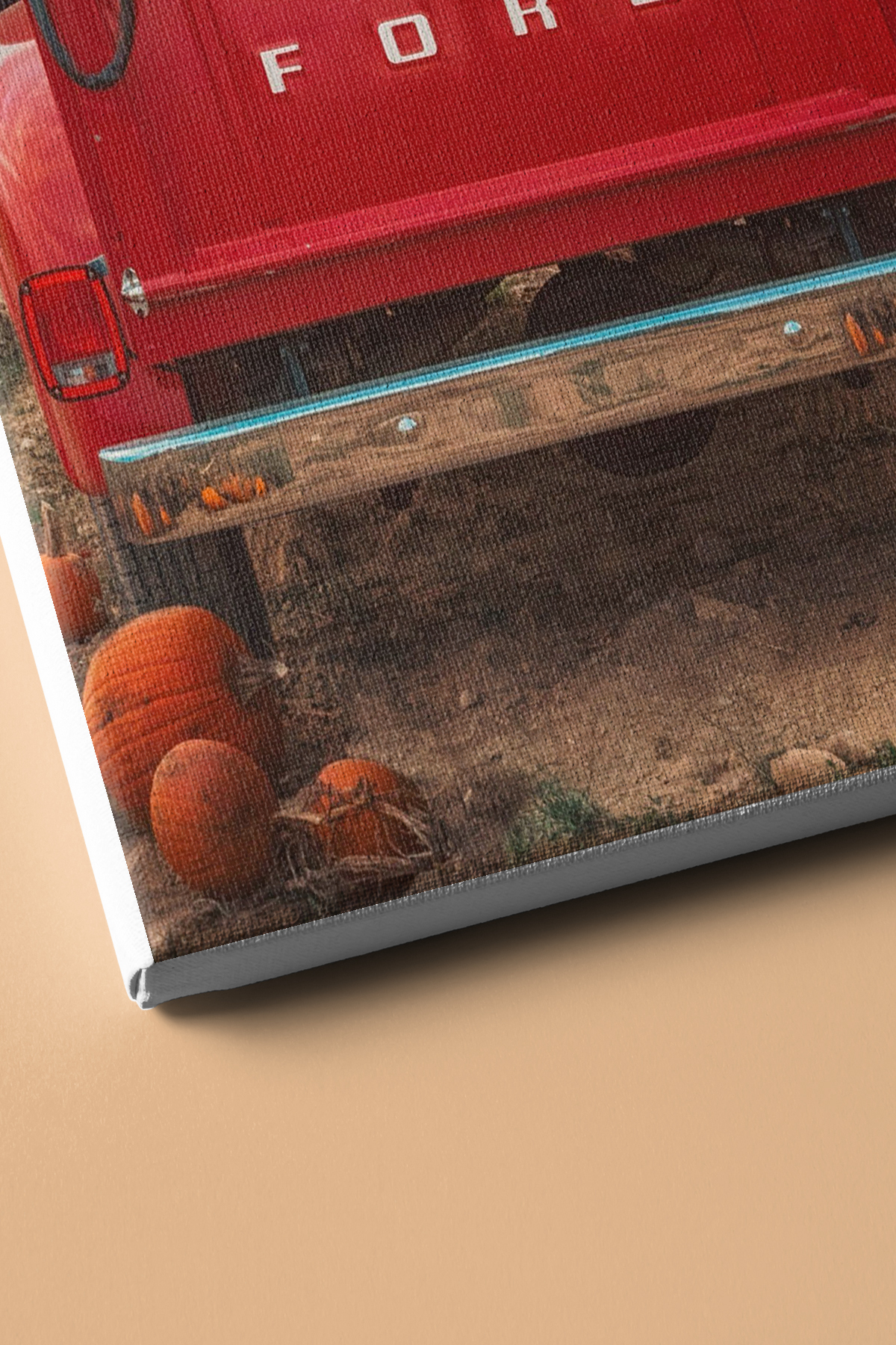 Sayılarla Boyama Seti Kasnaklı Bal Kabakları Arasında Köpek - Görsel 3