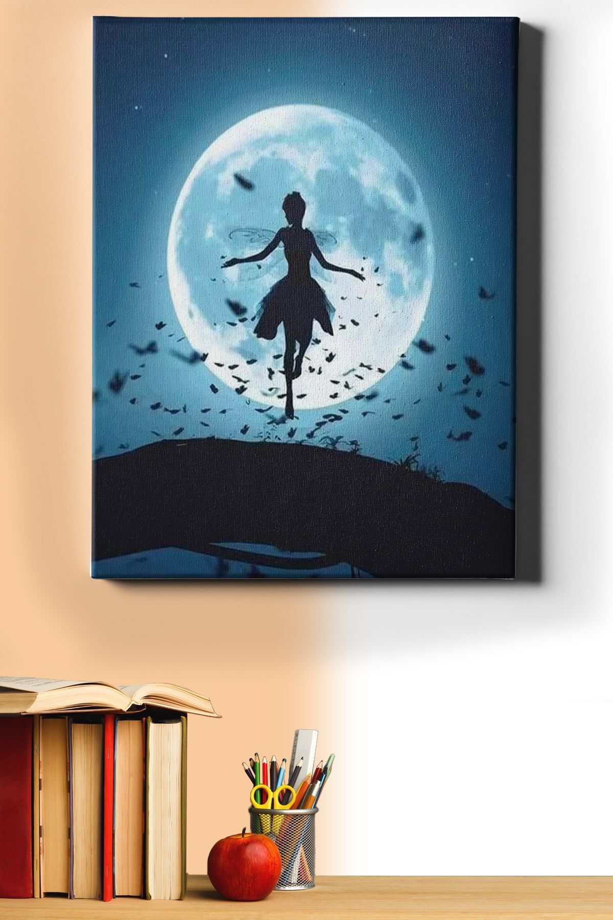 Sayılarla Boyama Seti Kasnaklı Peri Kızı