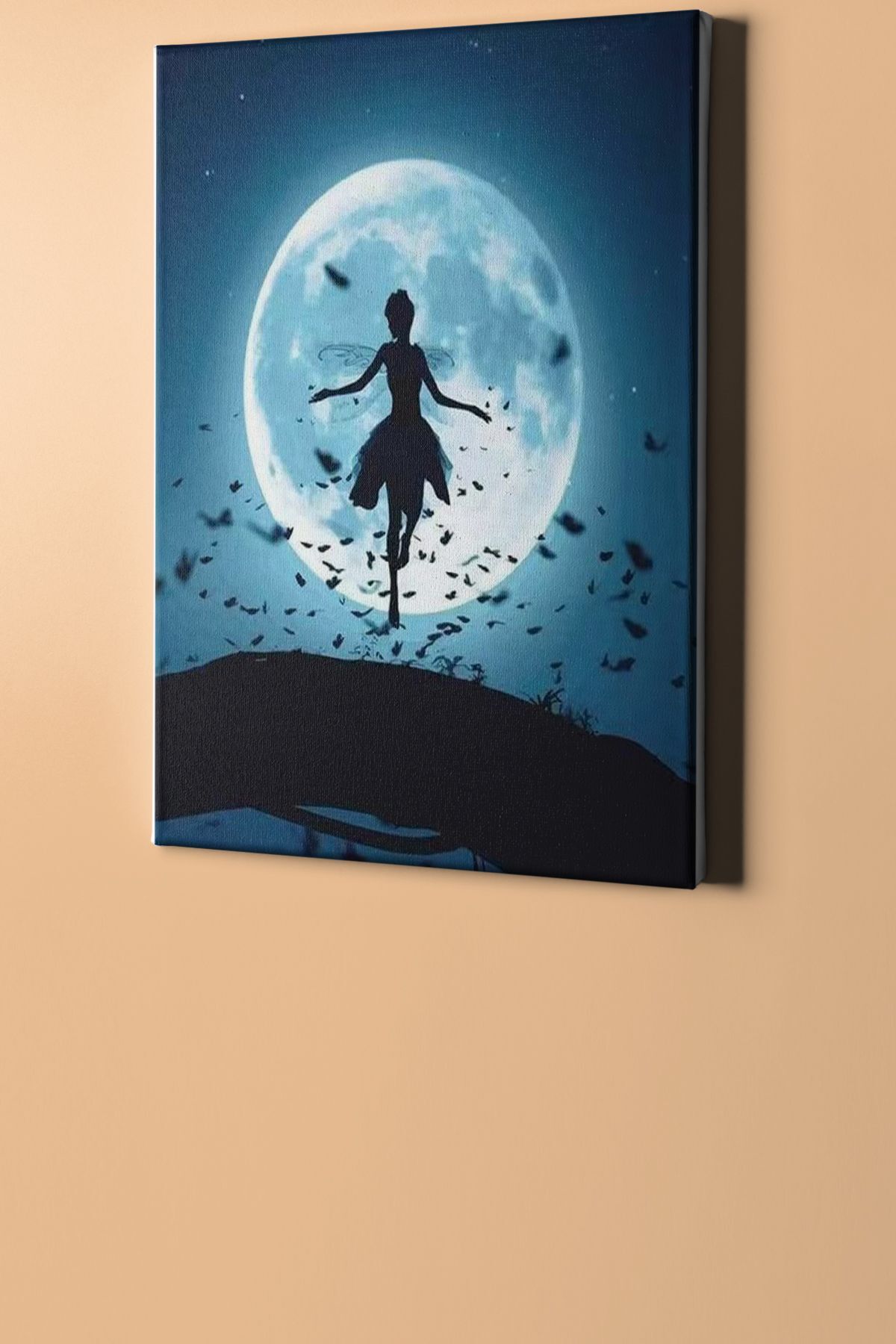 Sayılarla Boyama Seti Kasnaklı Peri Kızı - Görsel 2