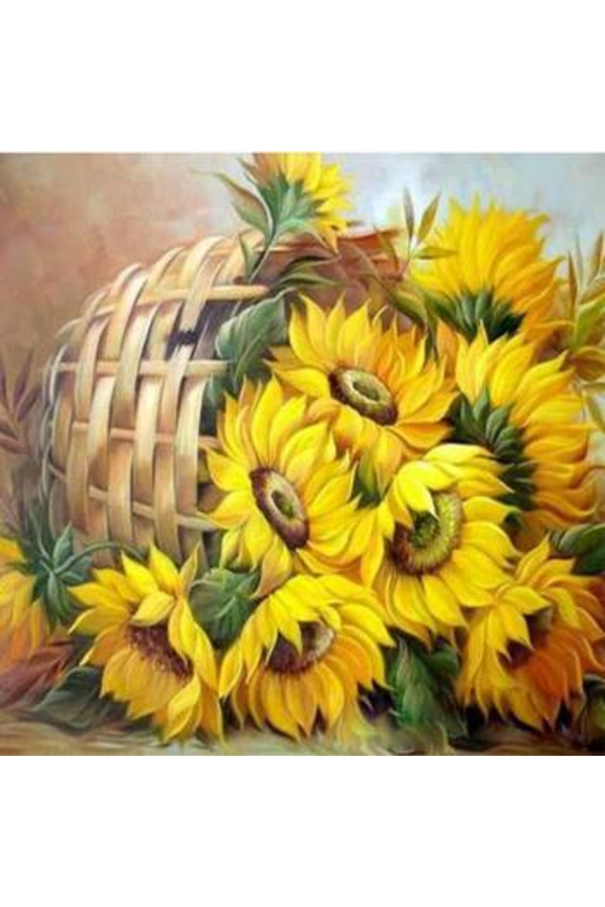 Sayılarla Boyama Seti Kasnaklı Günebakan Sepeti