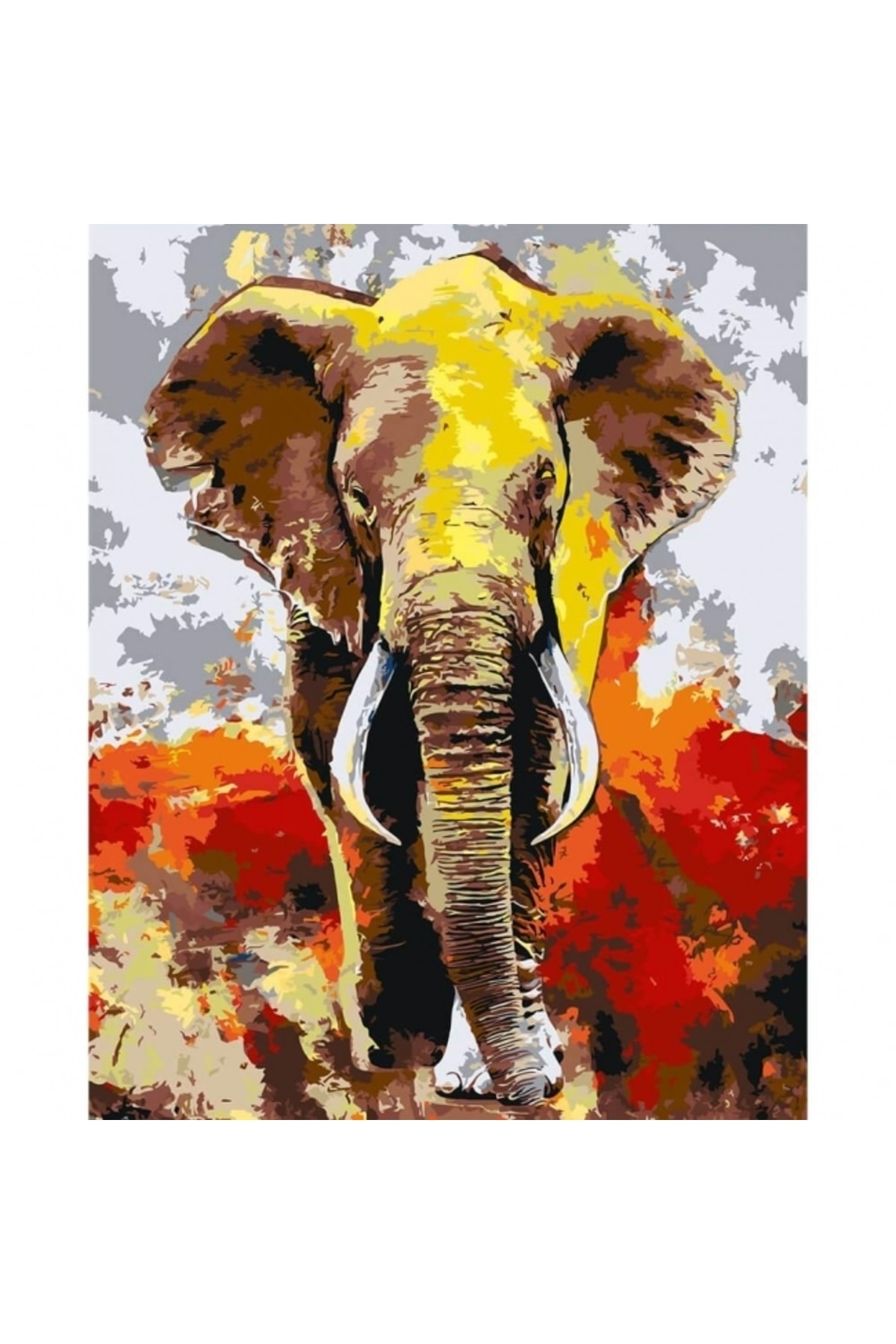 Sayılarla Boyama Seti Kasnaklı Derviş Fil