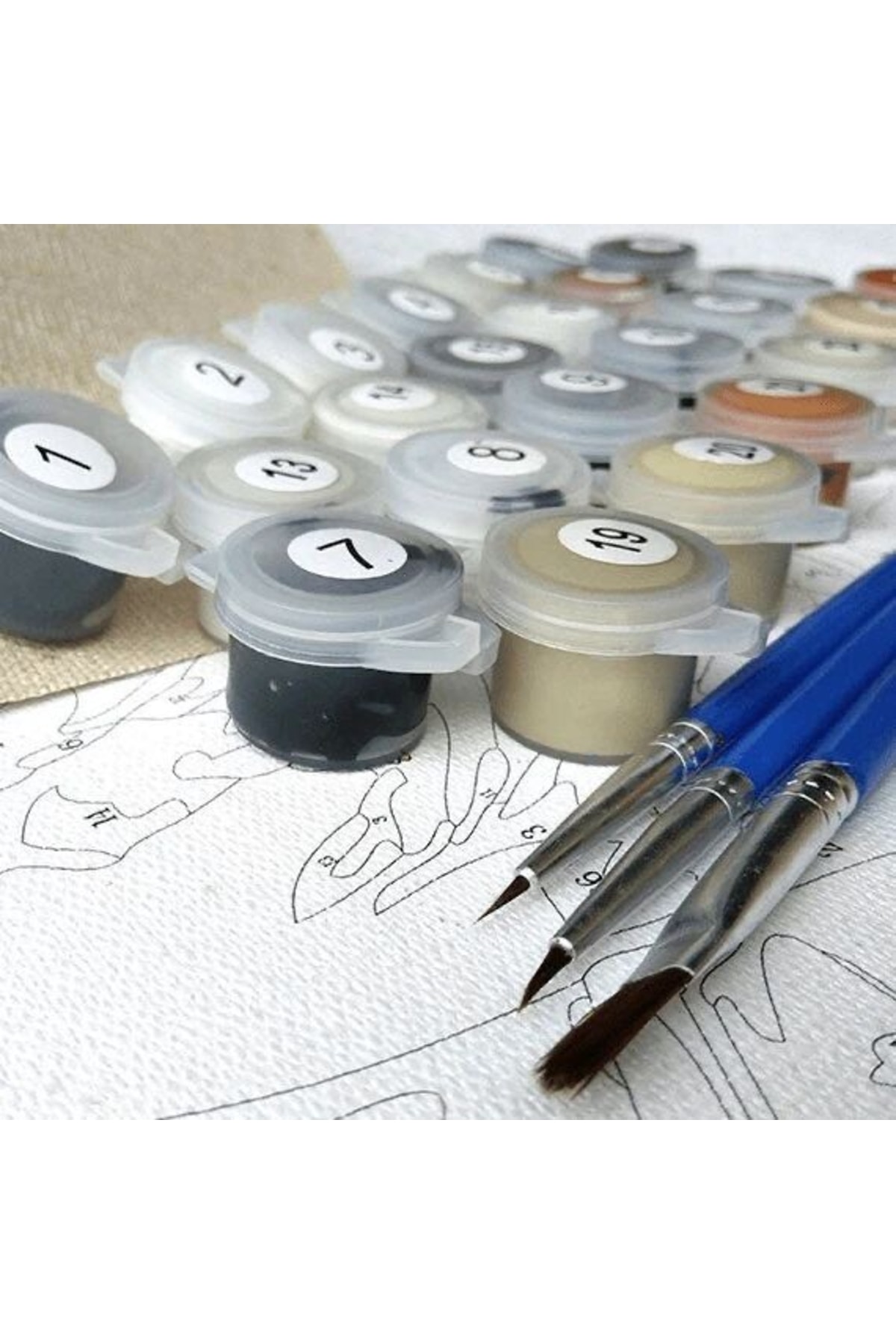 Sayılarla Boyama Seti Çerçevesiz Kadınlar Çiçektir 13 - Görsel 4