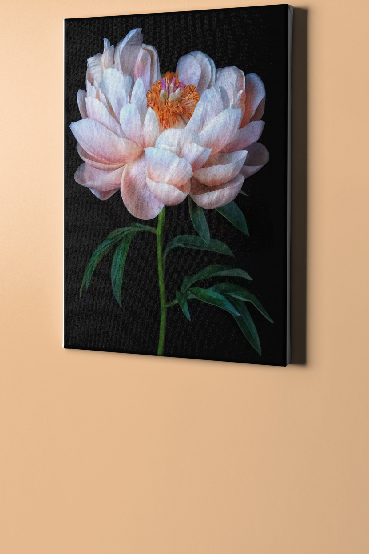 Sayılarla Boyama Seti Kasnaklı Beyaz Şakayık - Görsel 2