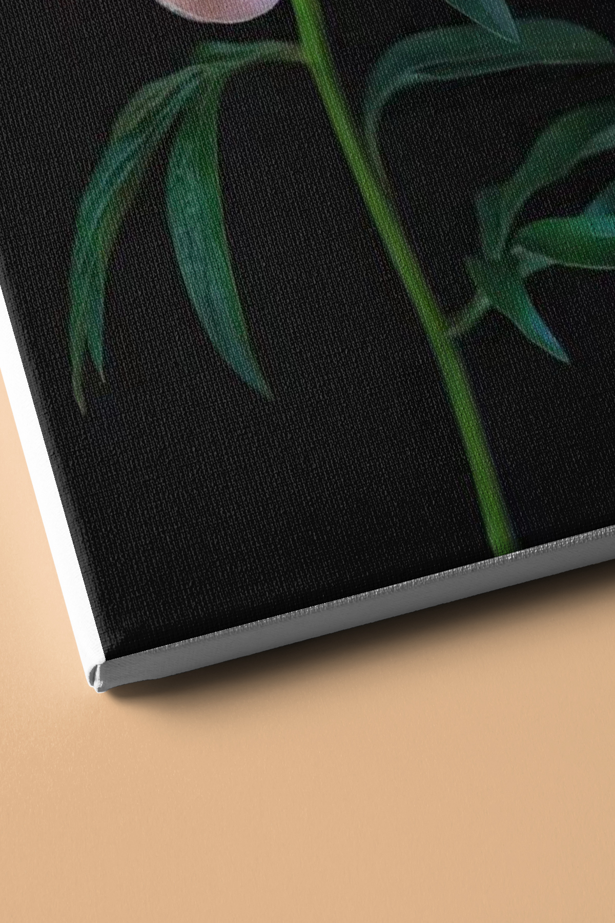 Sayılarla Boyama Seti Kasnaklı Beyaz Şakayık - Görsel 3