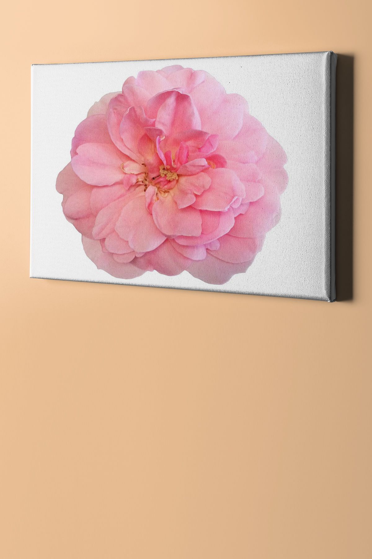 Sayılarla Boyama Seti Kasnaklı Pembe Gül - Görsel 2