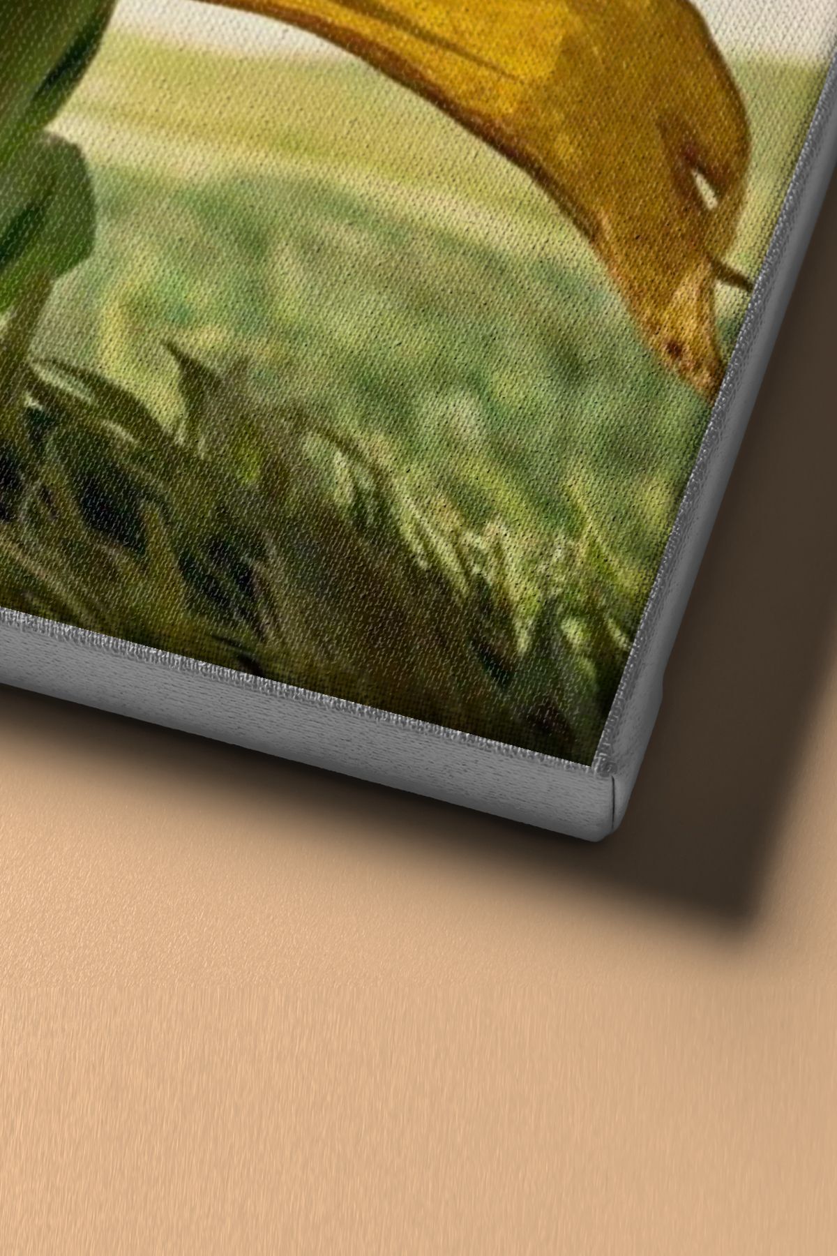 Küçük Prens Ve Tilki Sayılarla Boyama Seti Tuval Seti Fırça Boya Dahil (kasnaklı) Hobi - Görsel 4