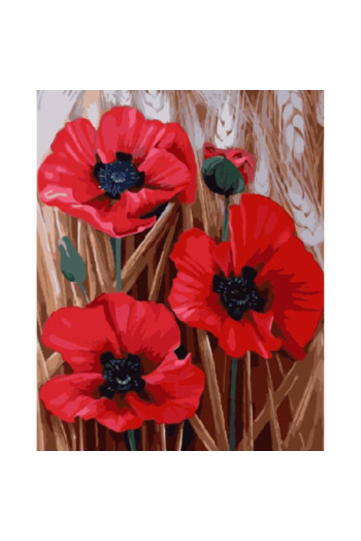 Sayılarla Boyama Seti Kasnaklı Gelinciğin Dansı