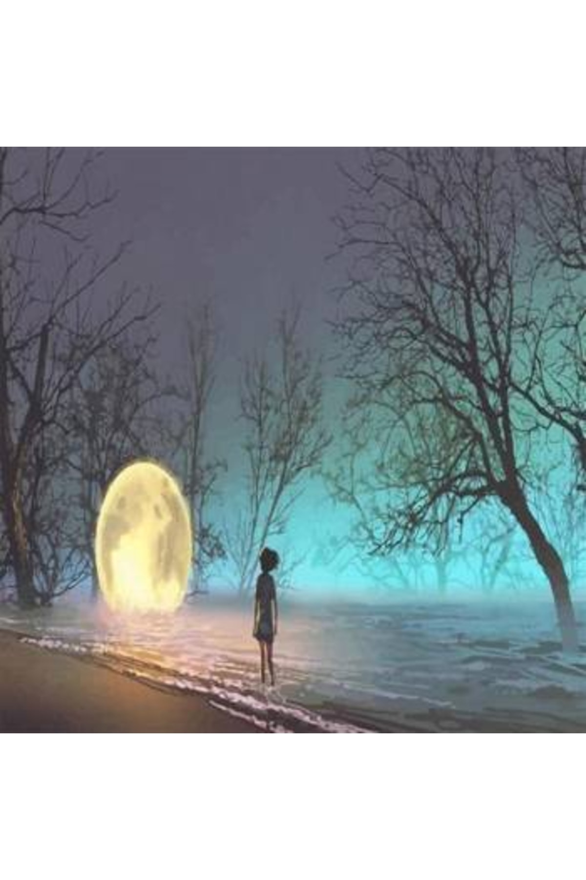 Sayılarla Boyama Seti Kasnaklı Gece Ve Huzur