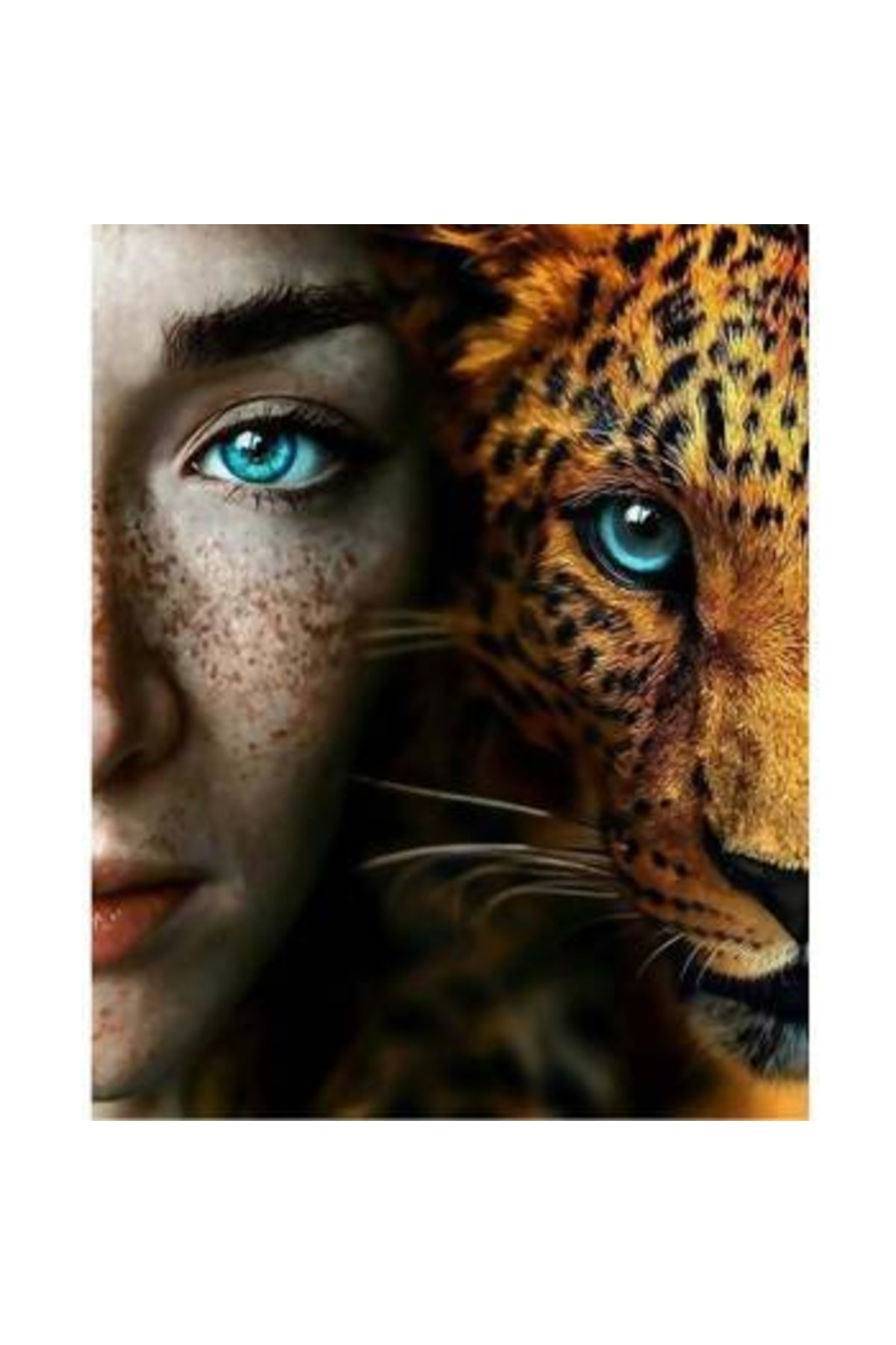 Sayılarla Boyama Seti Kasnaklı Vahşi Güzel