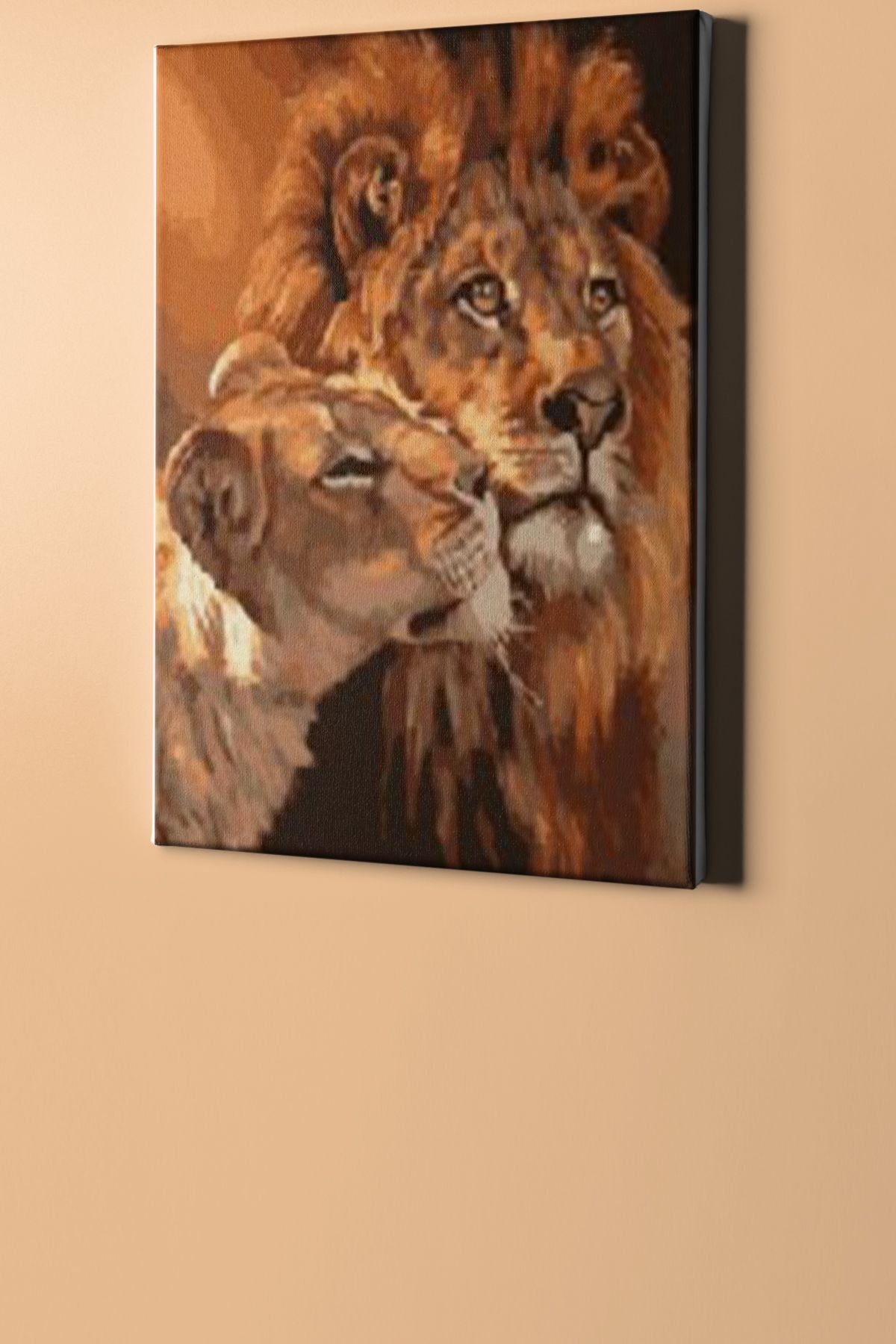 Sayılarla Boyama Seti Kasnaklı Kralın Aşkı - Görsel 2