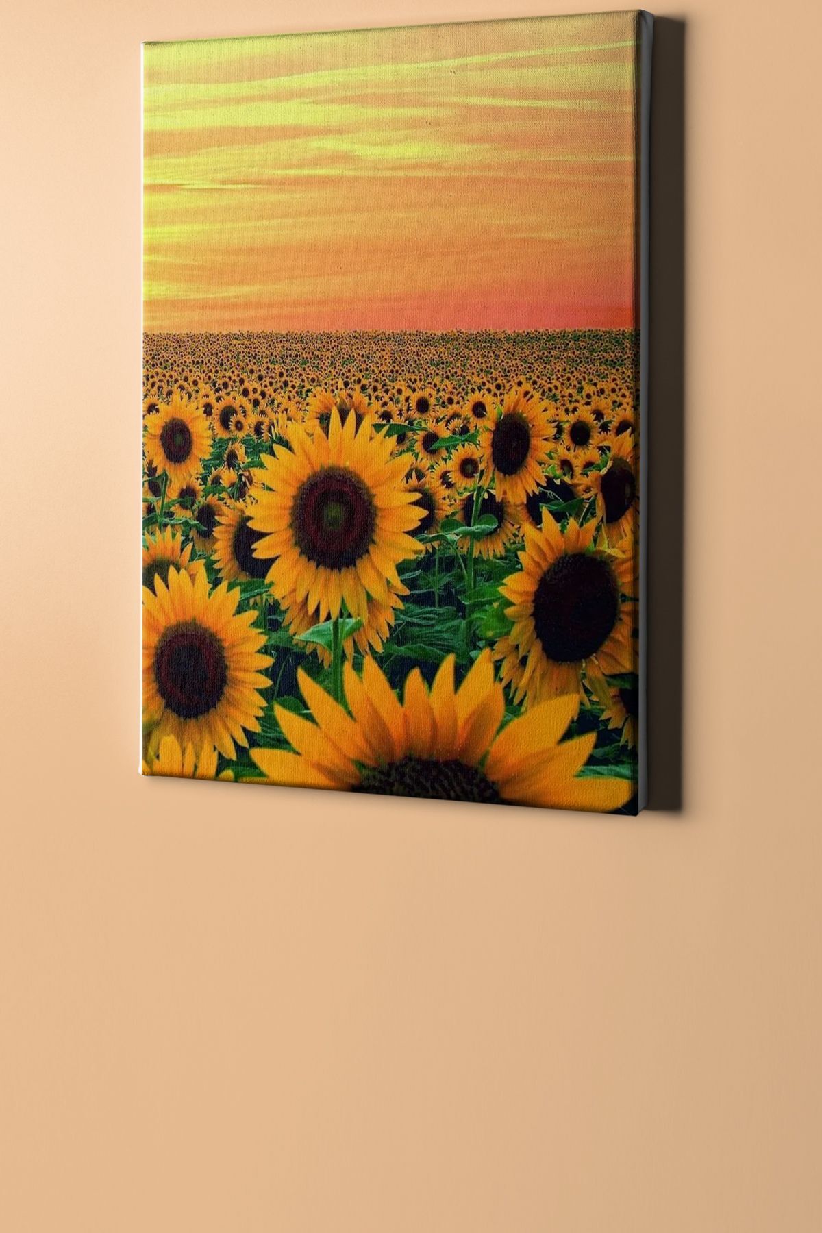 Sayılarla Boyama Seti Çerçevesiz Günebakan Tarlası - Görsel 2