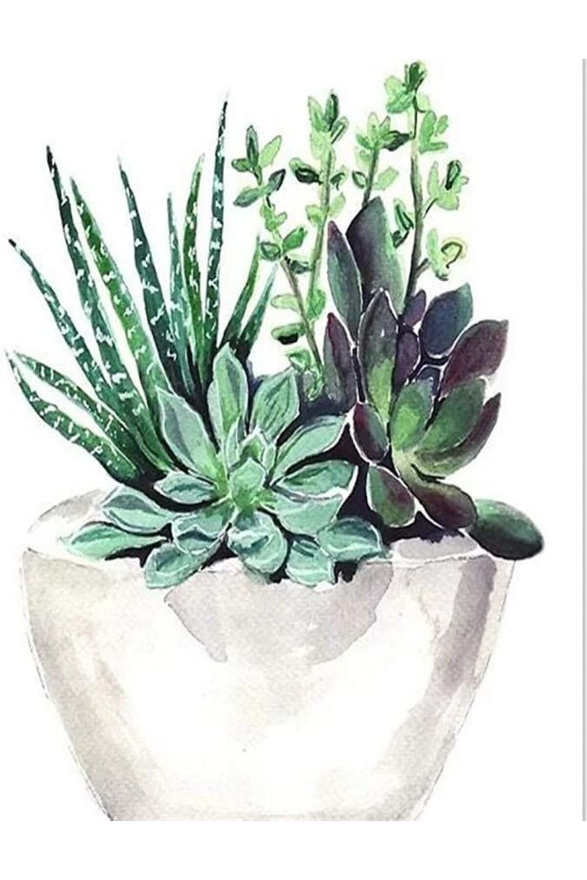 Saksıdaki Çiçekler Sayılarla Boyama Seti Kasnaklı - Görsel 2