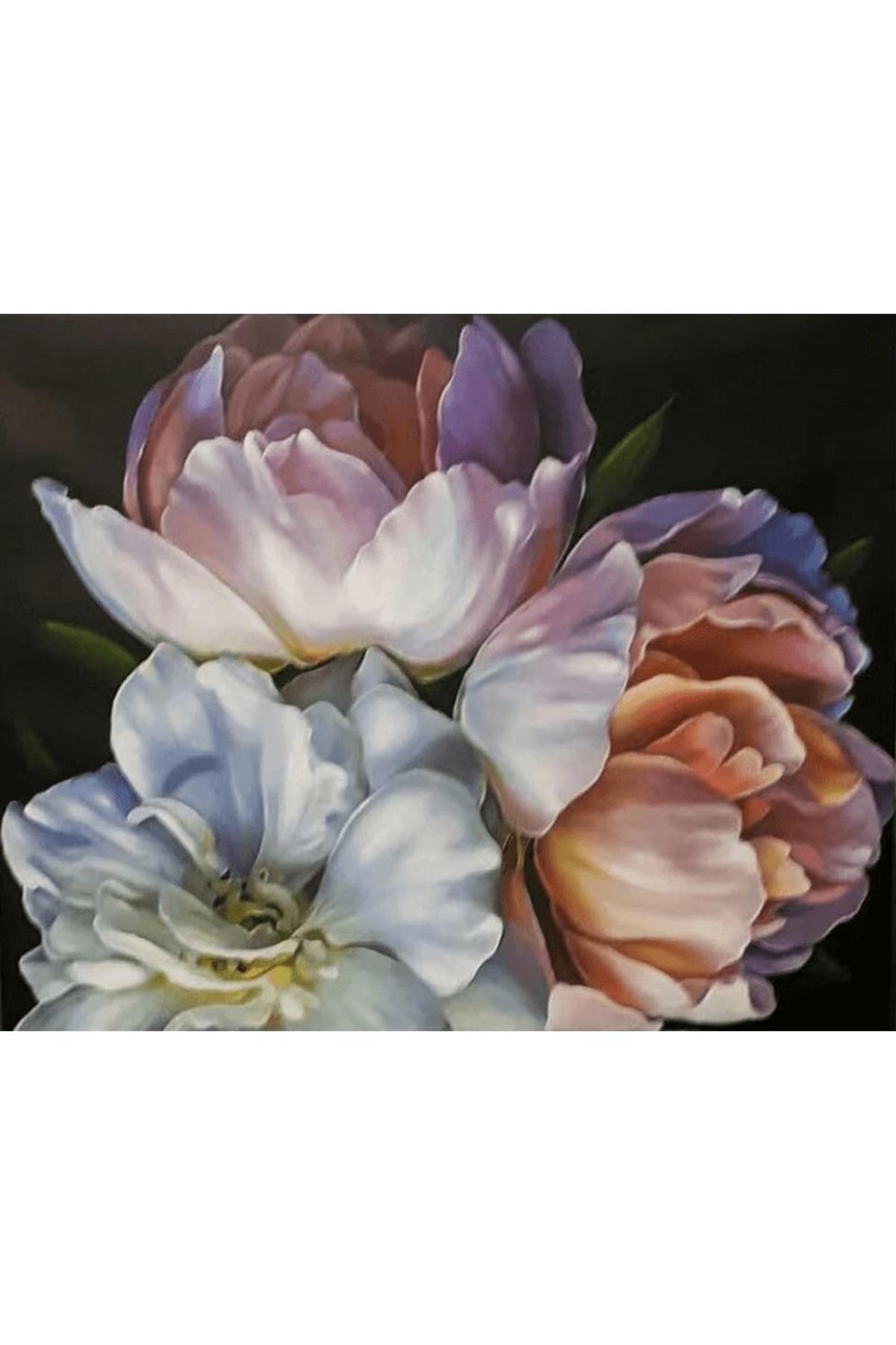 Şakayık Kıvrımları Sayılarla Boyama Seti Kasnaklı