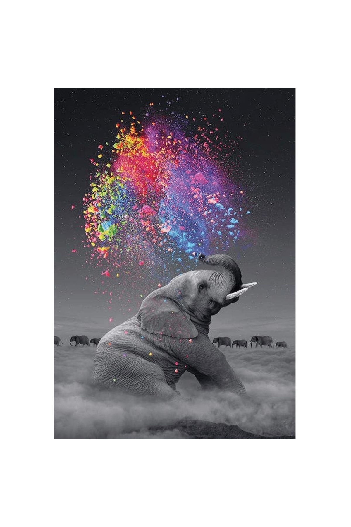 Renk Yağmuru Ve Fil Sayılarla Boyama Seti Kasnaklı