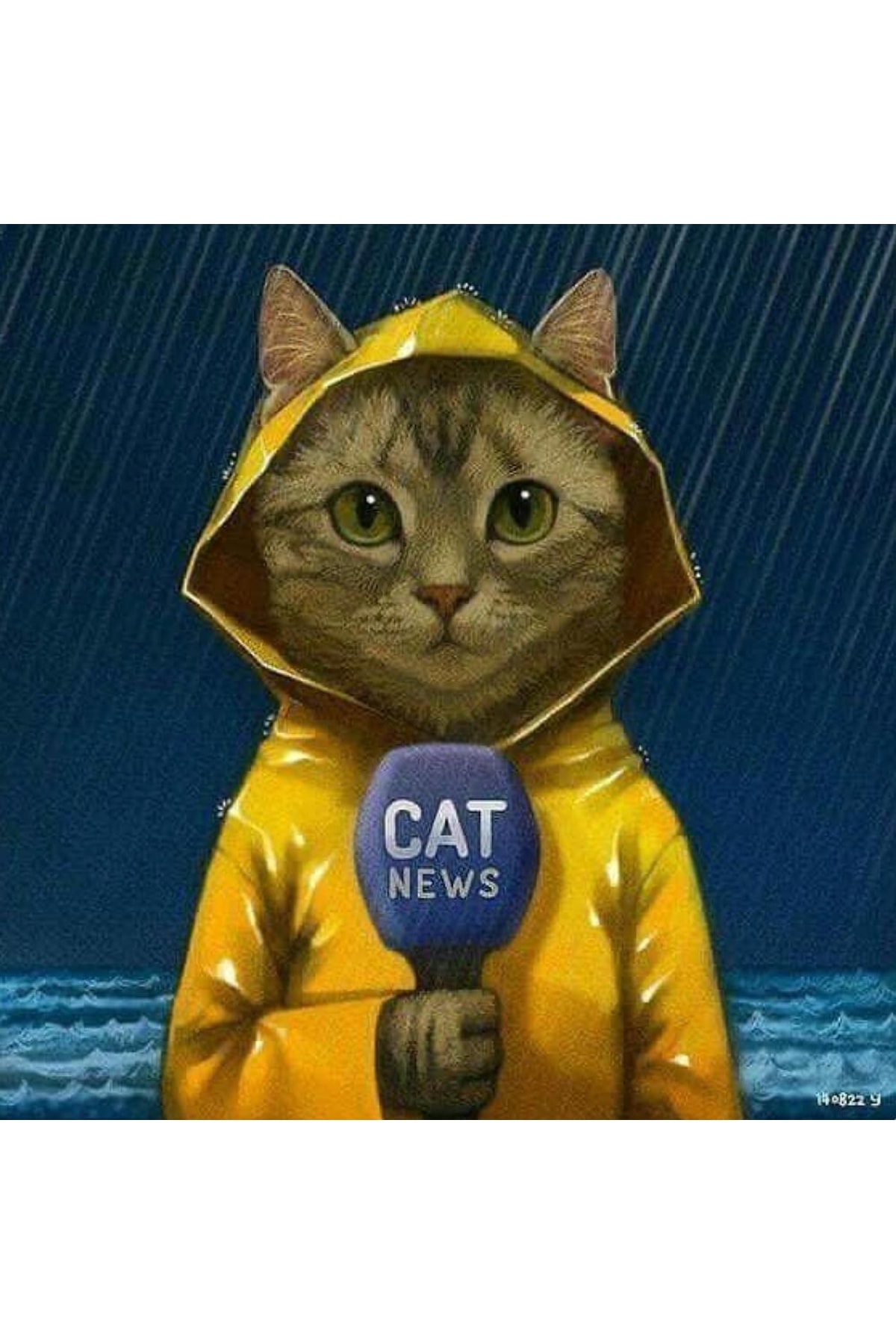 Muhabir Kedi Sayılarla Boyama Seti Kasnaklı