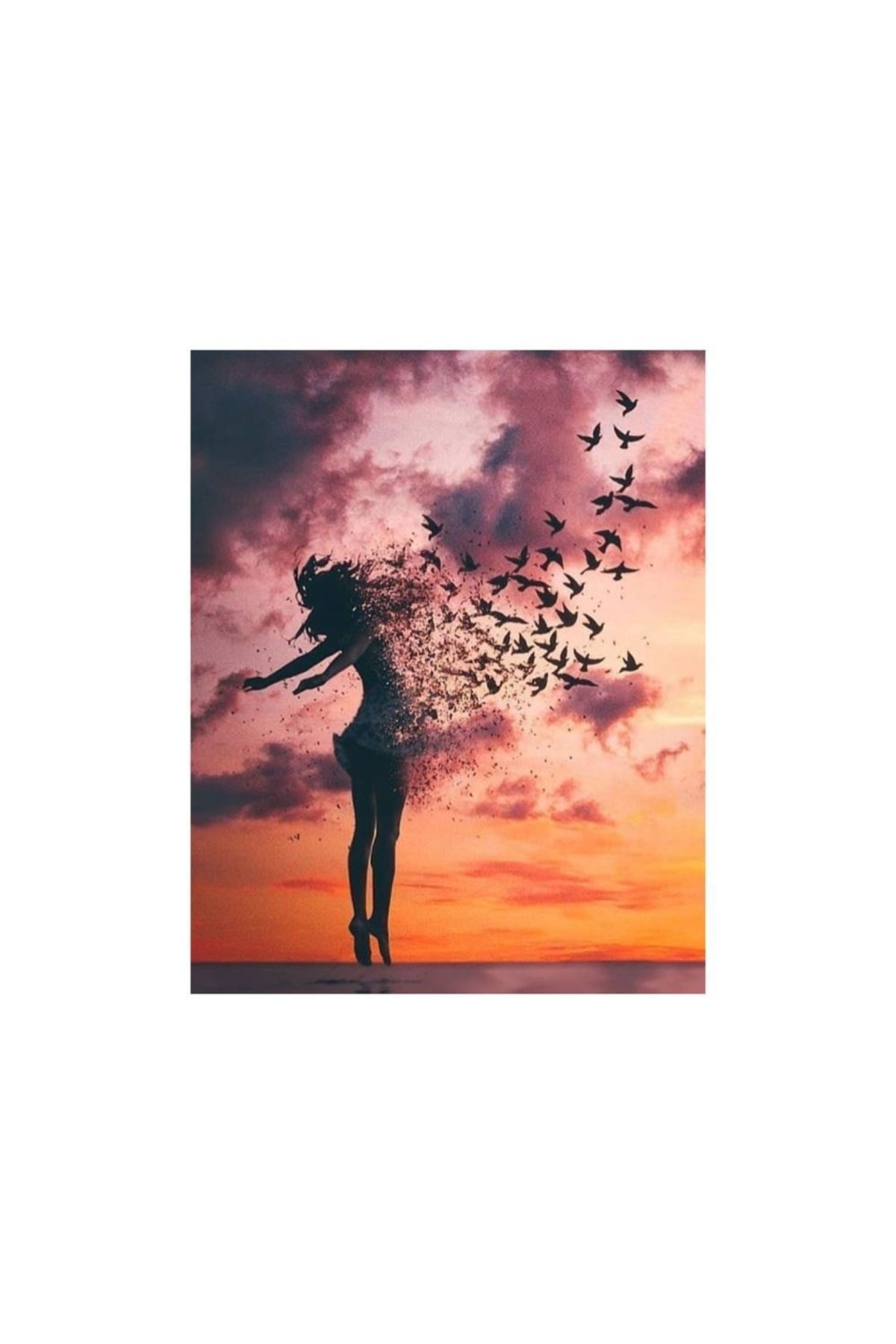 Uçan Kadın Sayılarla Tablo Kanvasa Gerili