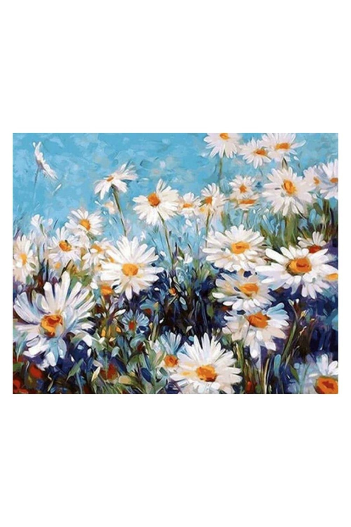 Papatya Tarlası Sayılarla Boyama Seti Kasnaklı