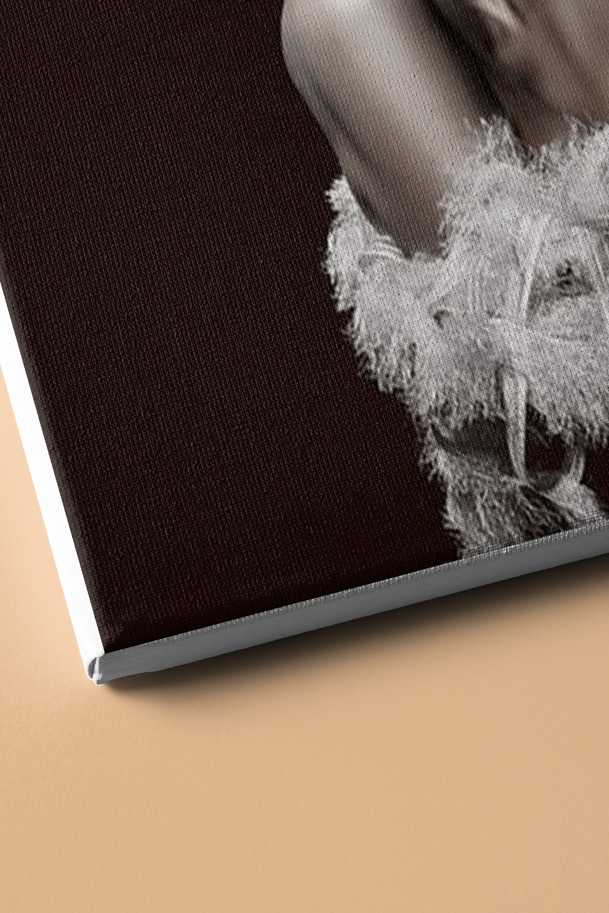 Mavi Cazibe Renkli Sayılarla Boyama Seti Kasnaklı - Görsel 3