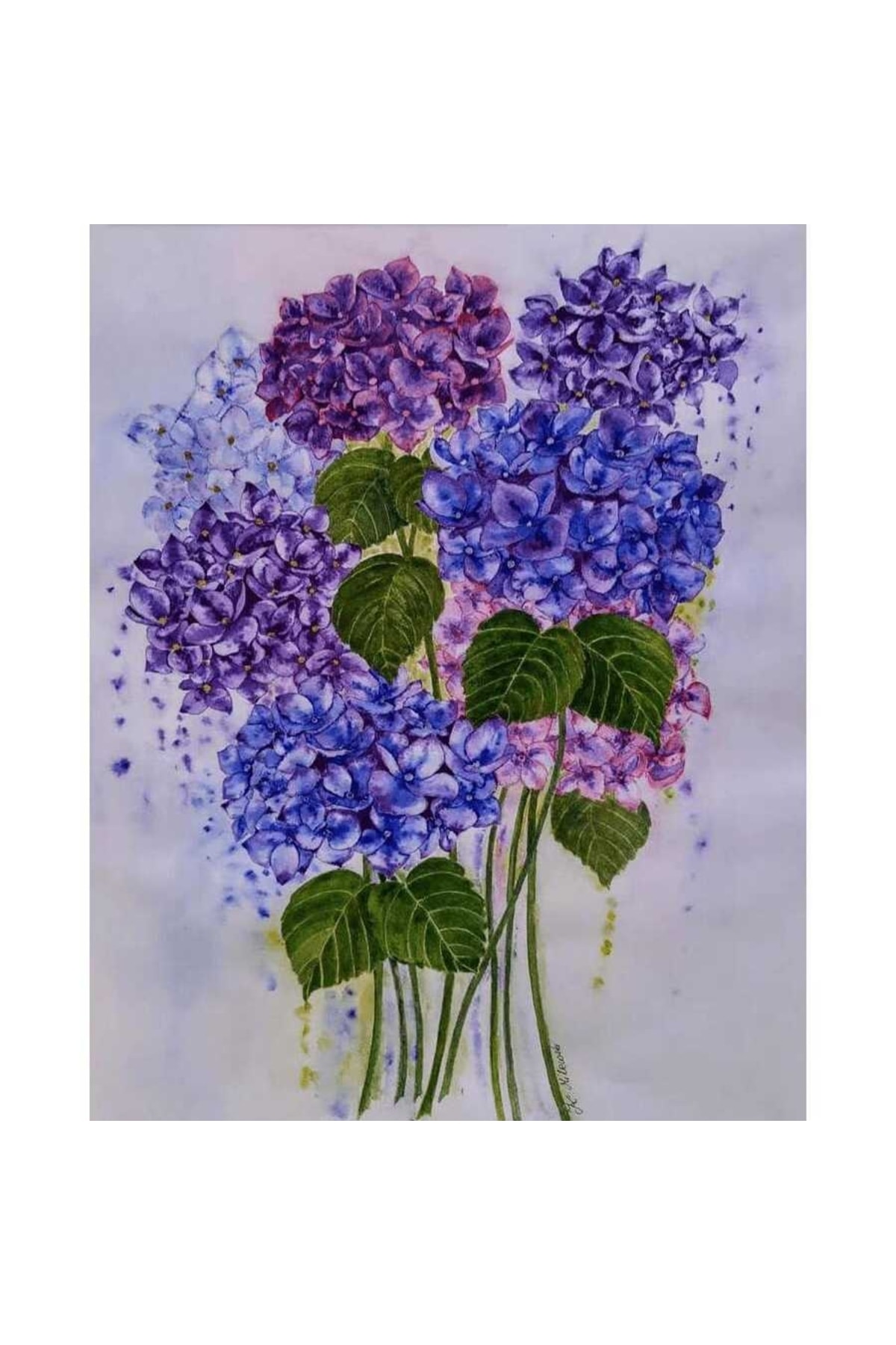 Güzel Ortanca 3 Sayılarla Tablo Kanvasa Gerili