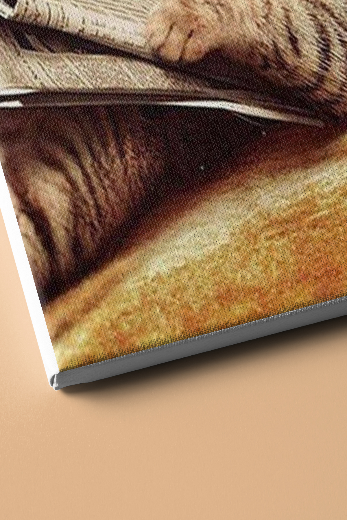 Keyfekeder Kedi Sayılarla Boyama Seti Kasnaklı - Görsel 3