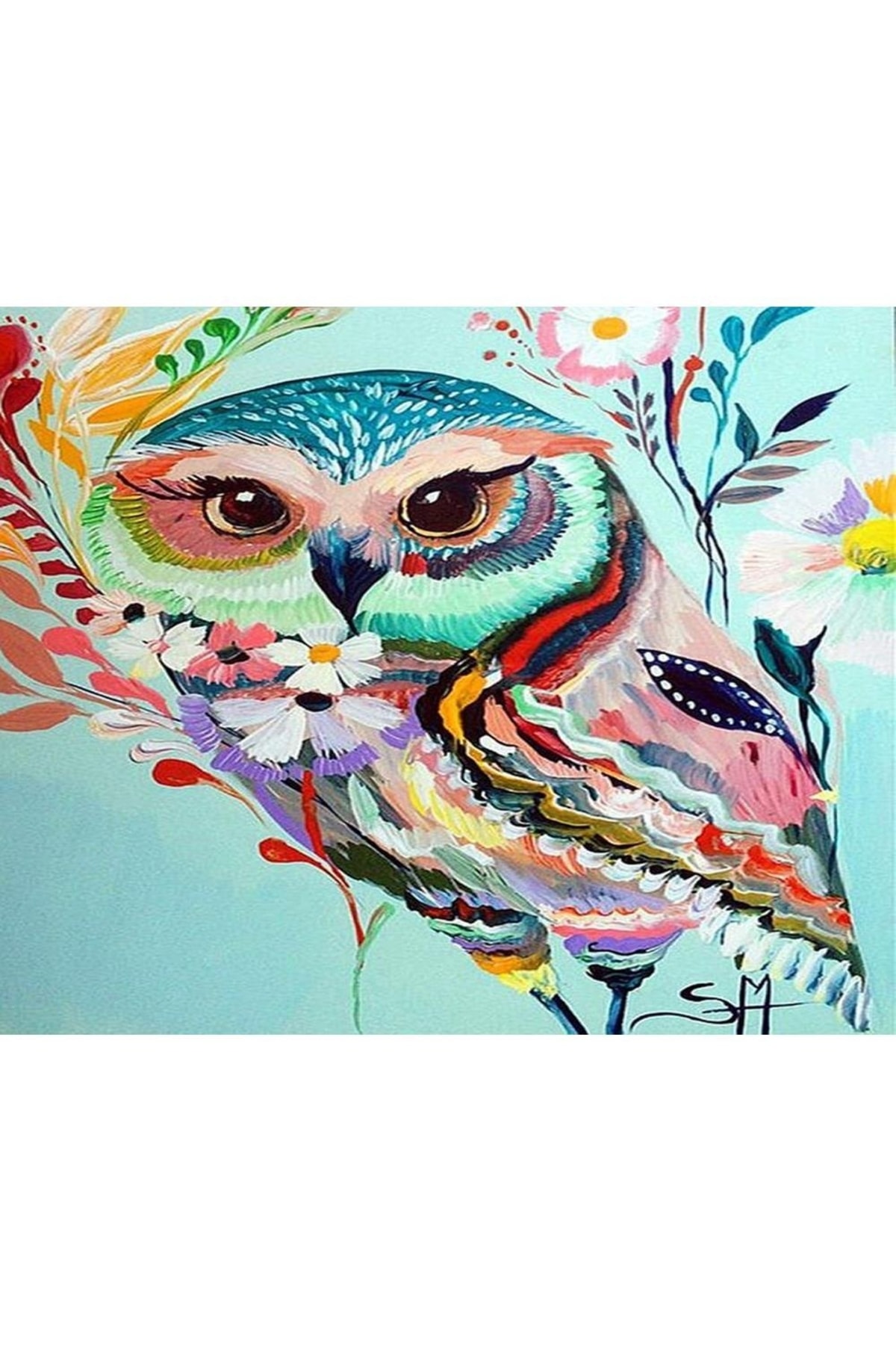 Desenli Baykuş Sayılarla Boyama Seti Kasnaklı