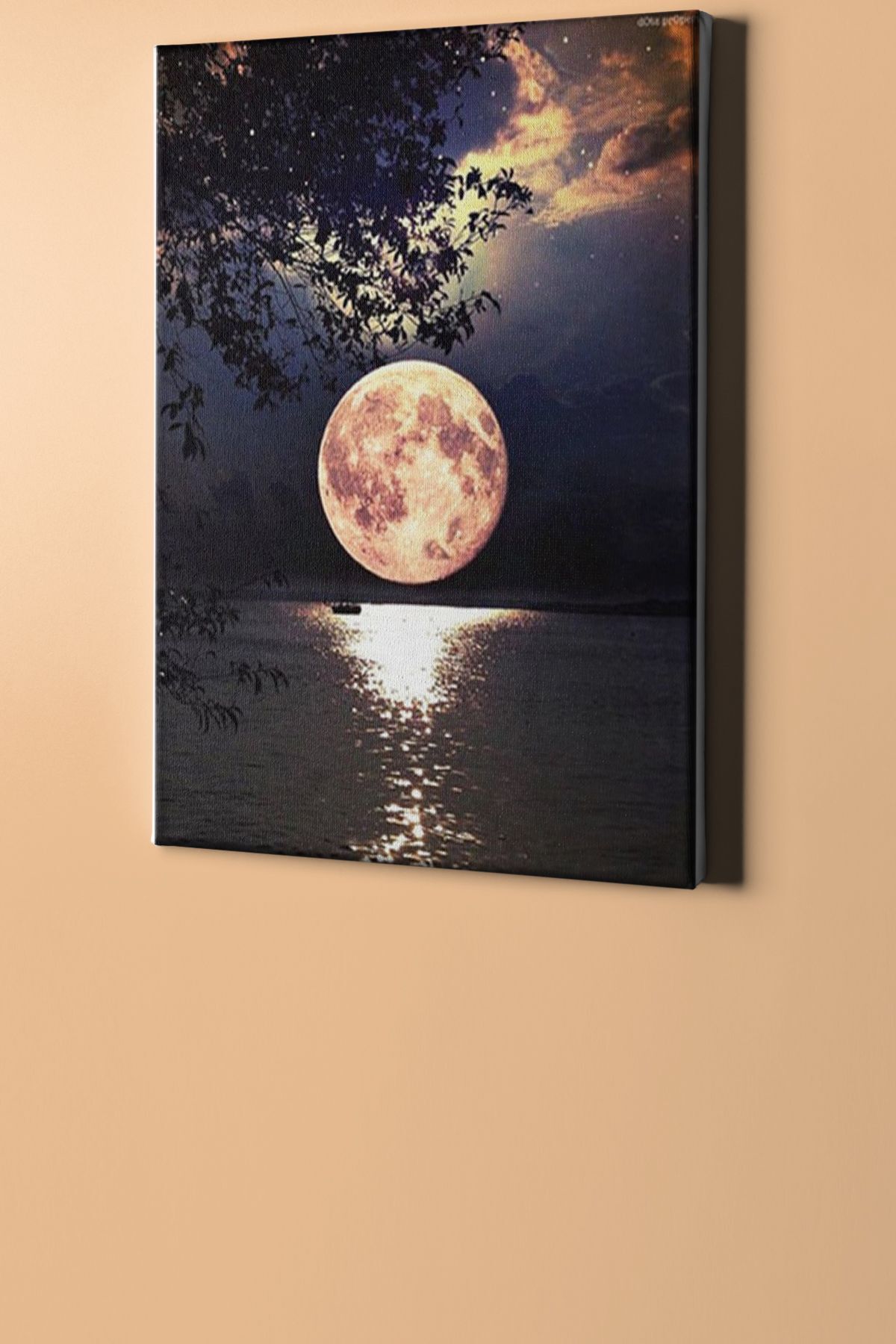 Dolunay Sayılarla Boyama Seti Kasnaklı - Görsel 2