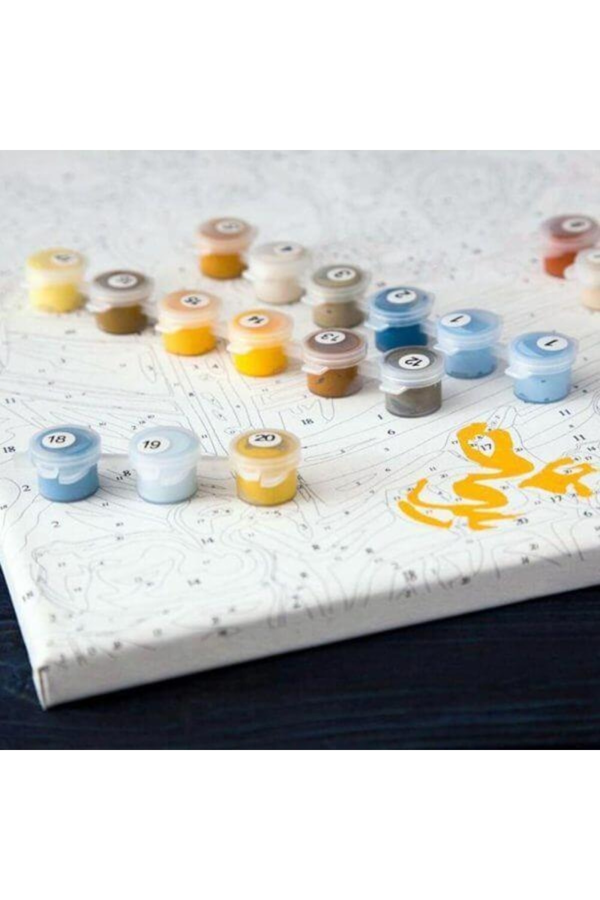 Led Işıklı Tilki Sayılarla Boyama Seti Kasnaklı - Görsel 5
