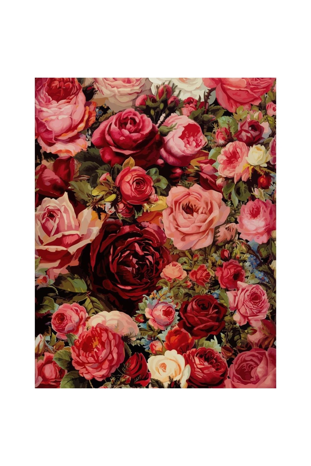 Gül Demeti Sayılarla Boyama Seti Kasnaklı - Görsel 2