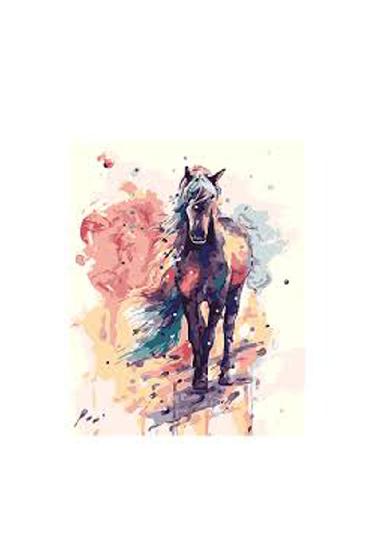 Düşlerdeki At Sayılarla Boyama Seti Kasnaklı