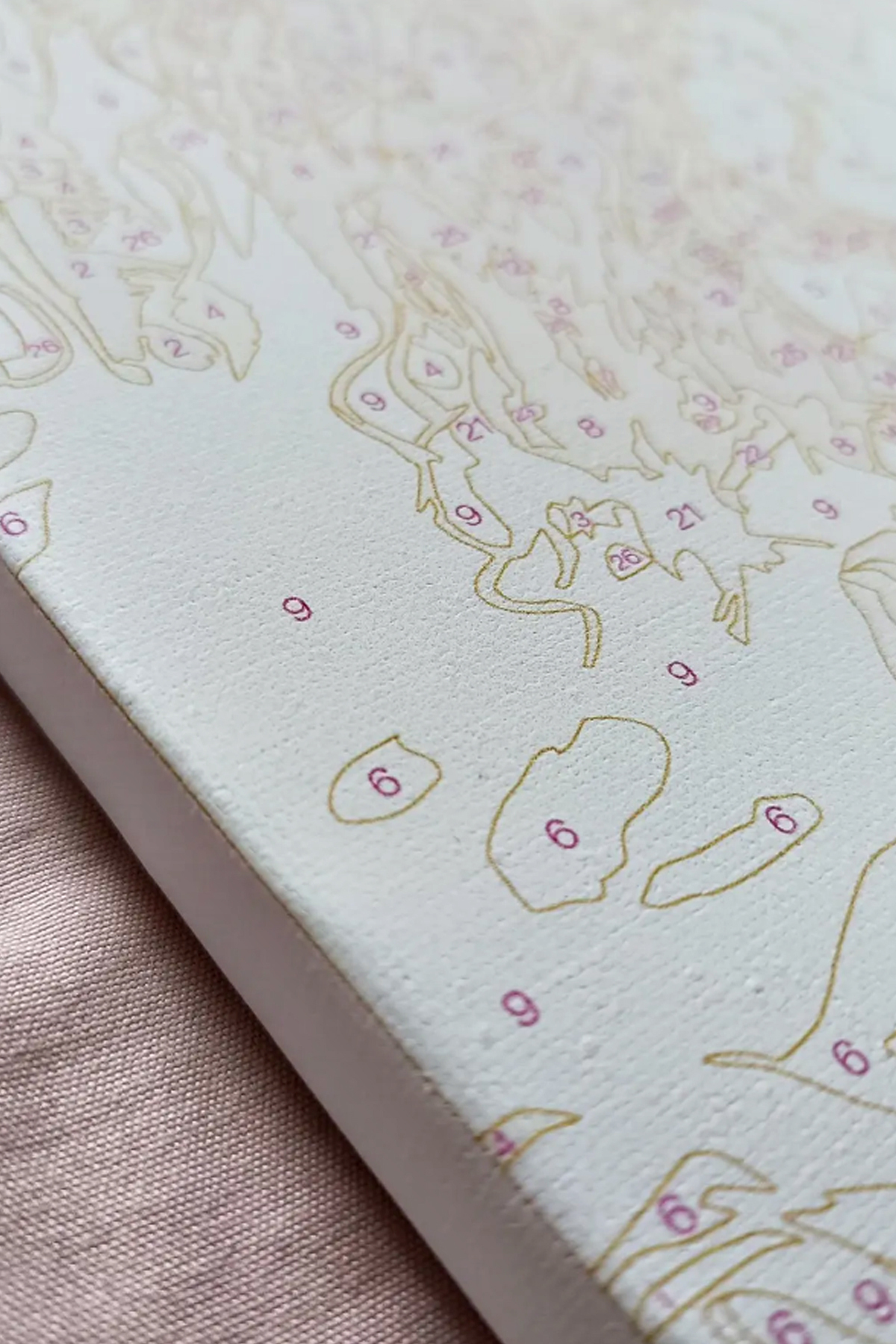 Lider Aslan Sayılarla Tablo Kanvasa Gerili - Görsel 3