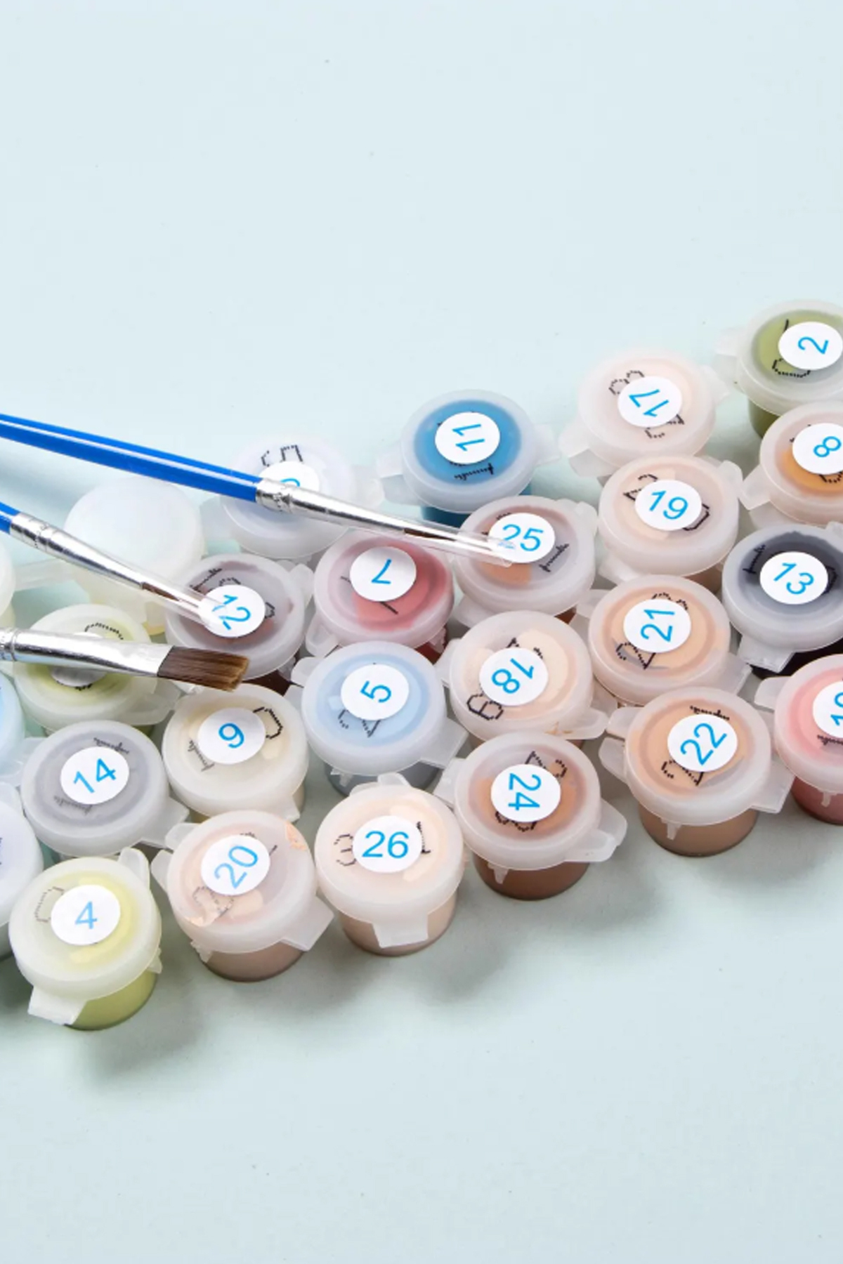 Lider Aslan Sayılarla Tablo Kanvasa Gerili - Görsel 4