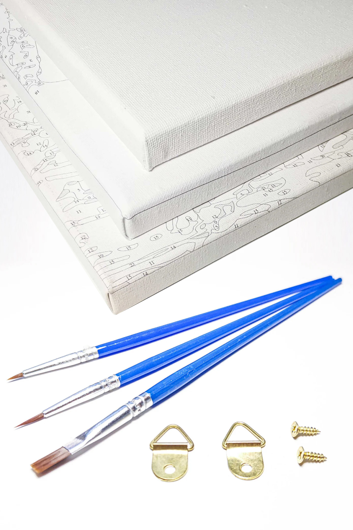 Lider Aslan Sayılarla Tablo Kanvasa Gerili - Görsel 5