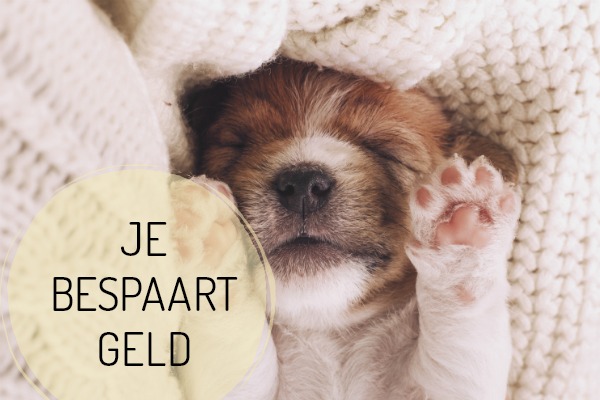 DIEREN-geld-besparen.jpg
