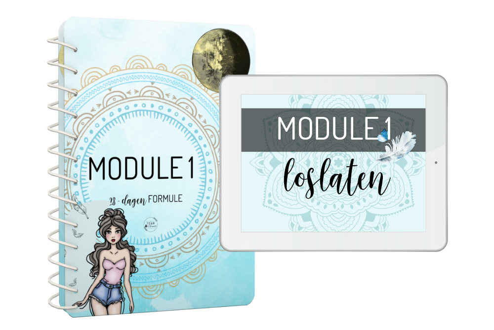 module1-samen.png