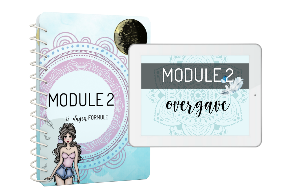 module2-samen.png