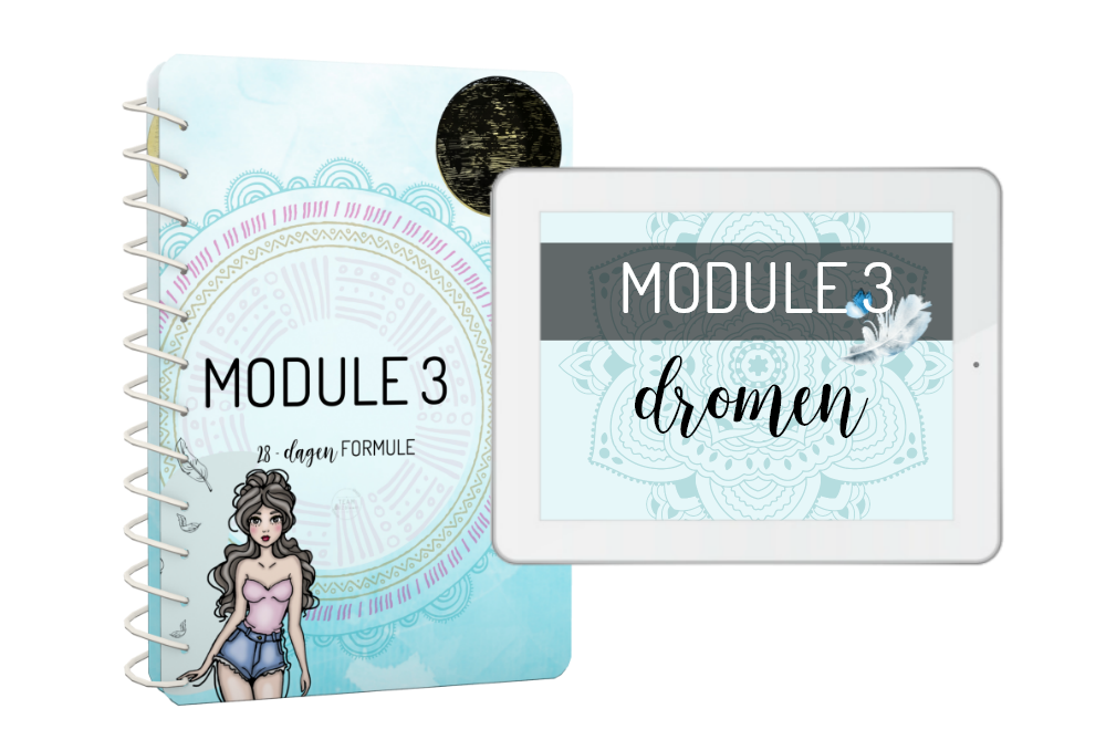 module3-samen.png