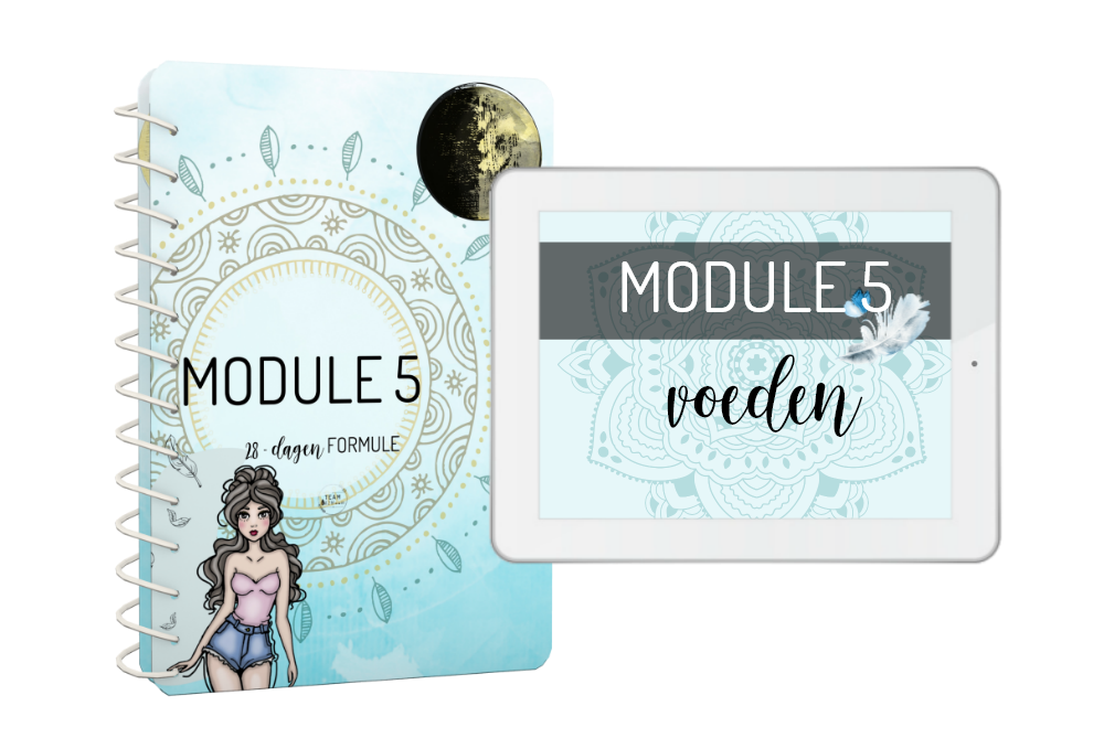 module5-samen.png