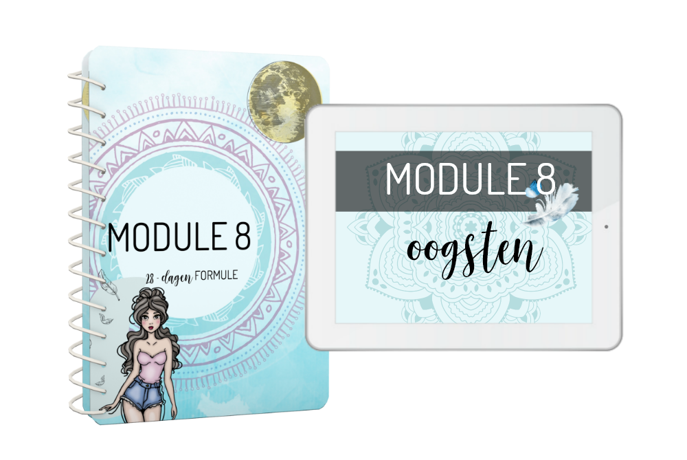 module8-samen.png