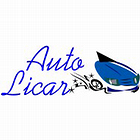Auto LiCar