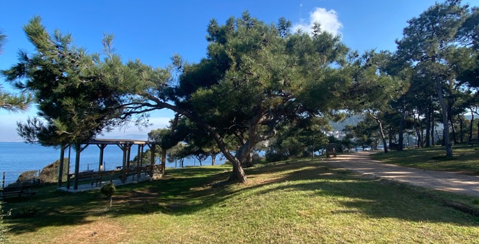 Büyükada Dilburnu Piknik Alanında piknik alanı temizliği ve düzeni için genç dinamik esnek çalışma saatlerine yatkın yatılı erkek elemanlar aranıyor