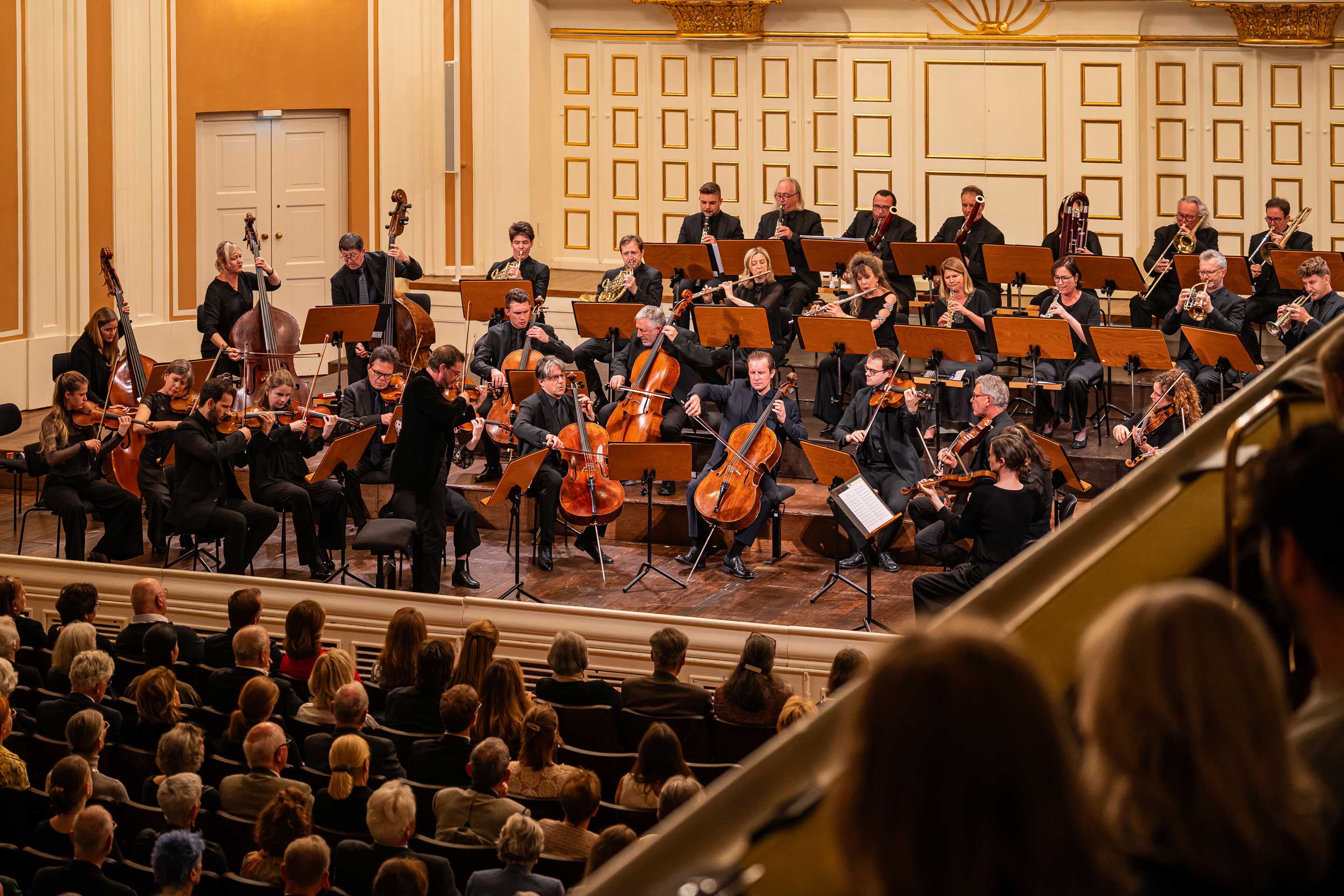 Saiskonkonzert 5 - Spontan gehört - Afanasy Chupin