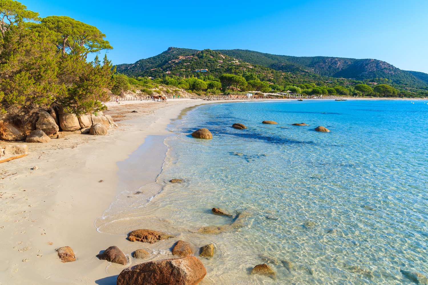 Vakantie Corsica Zoover De beste reviews & 690 reizen!