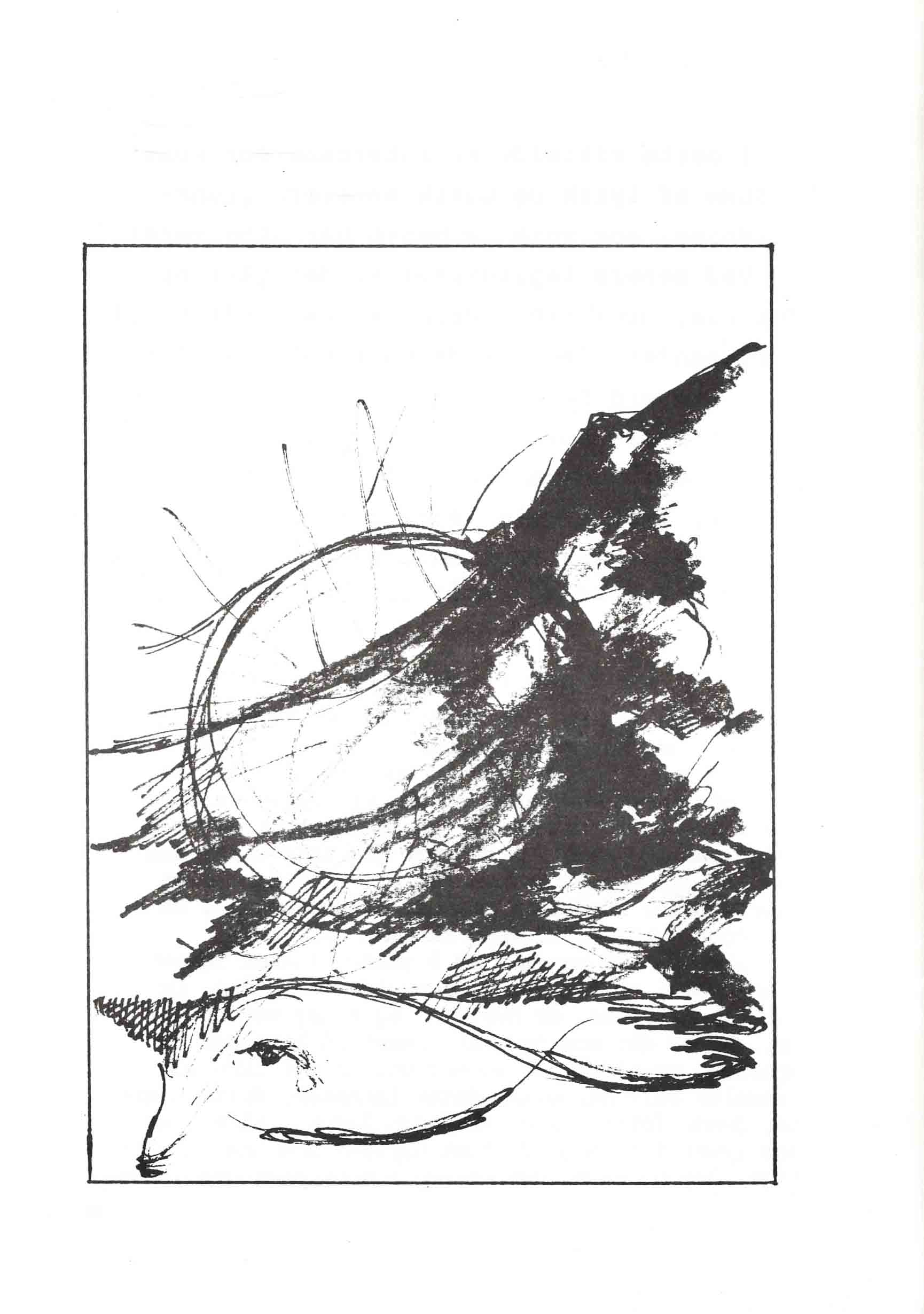 En udstilling i Bergen 1980