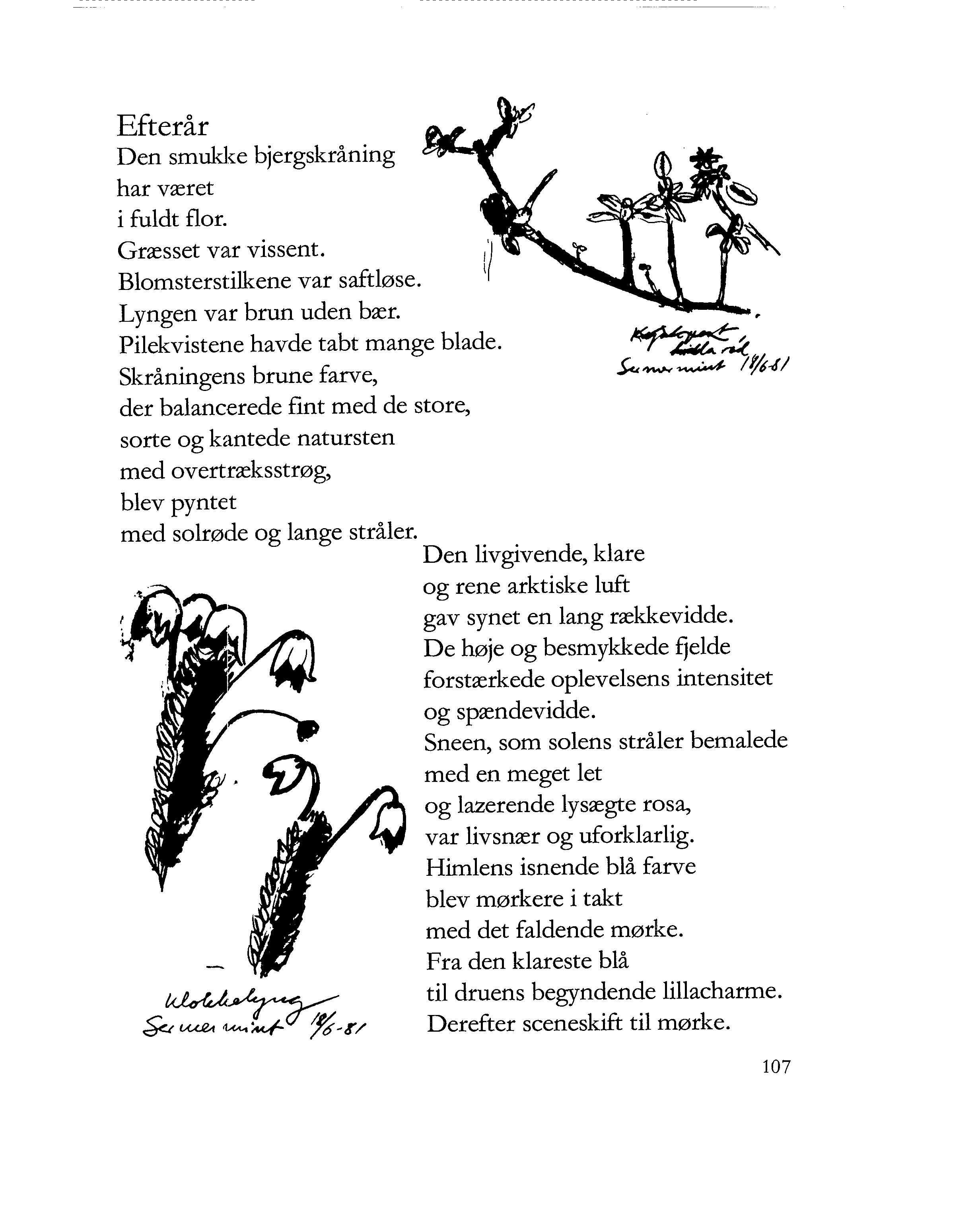 En kunstner på rejse · 2 - Digte og skitser fra nord