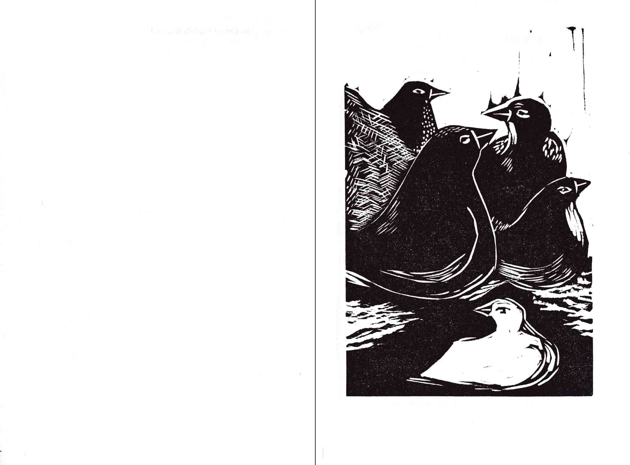 illoqarfimmi / i byen