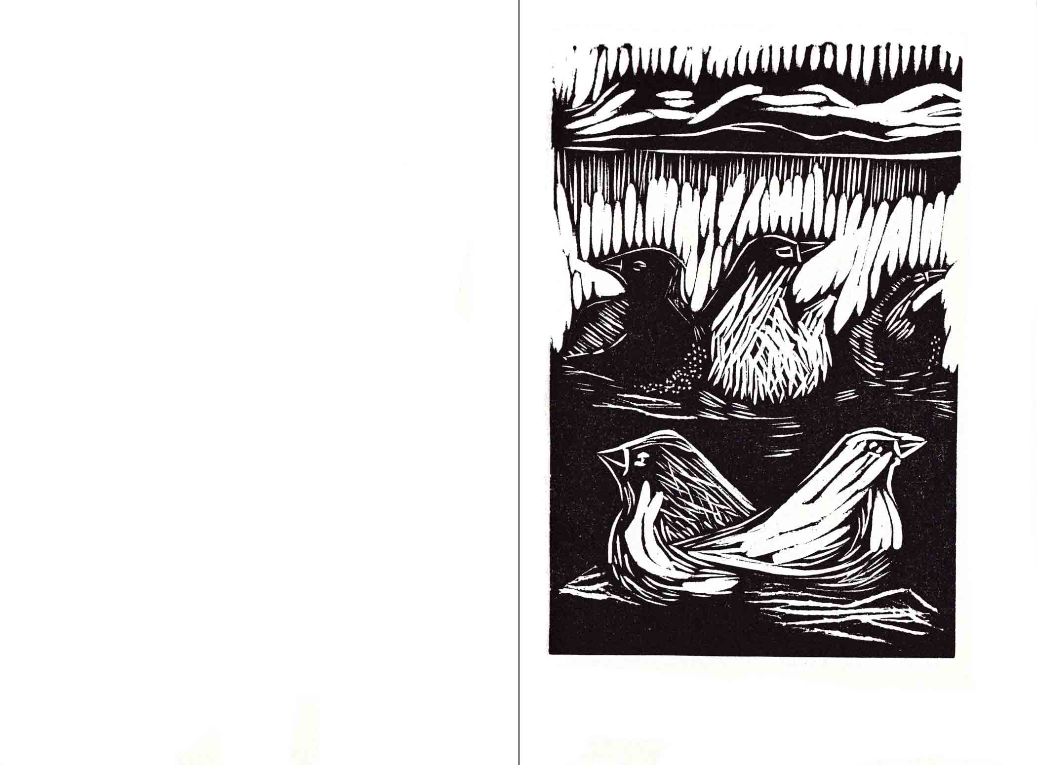 illoqarfimmi / i byen