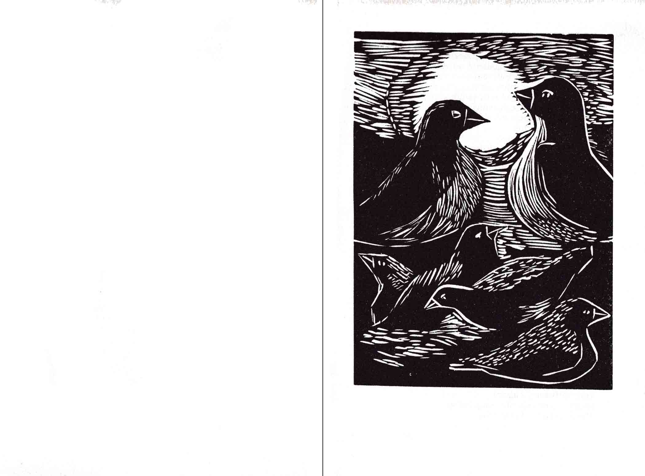 illoqarfimmi / i byen