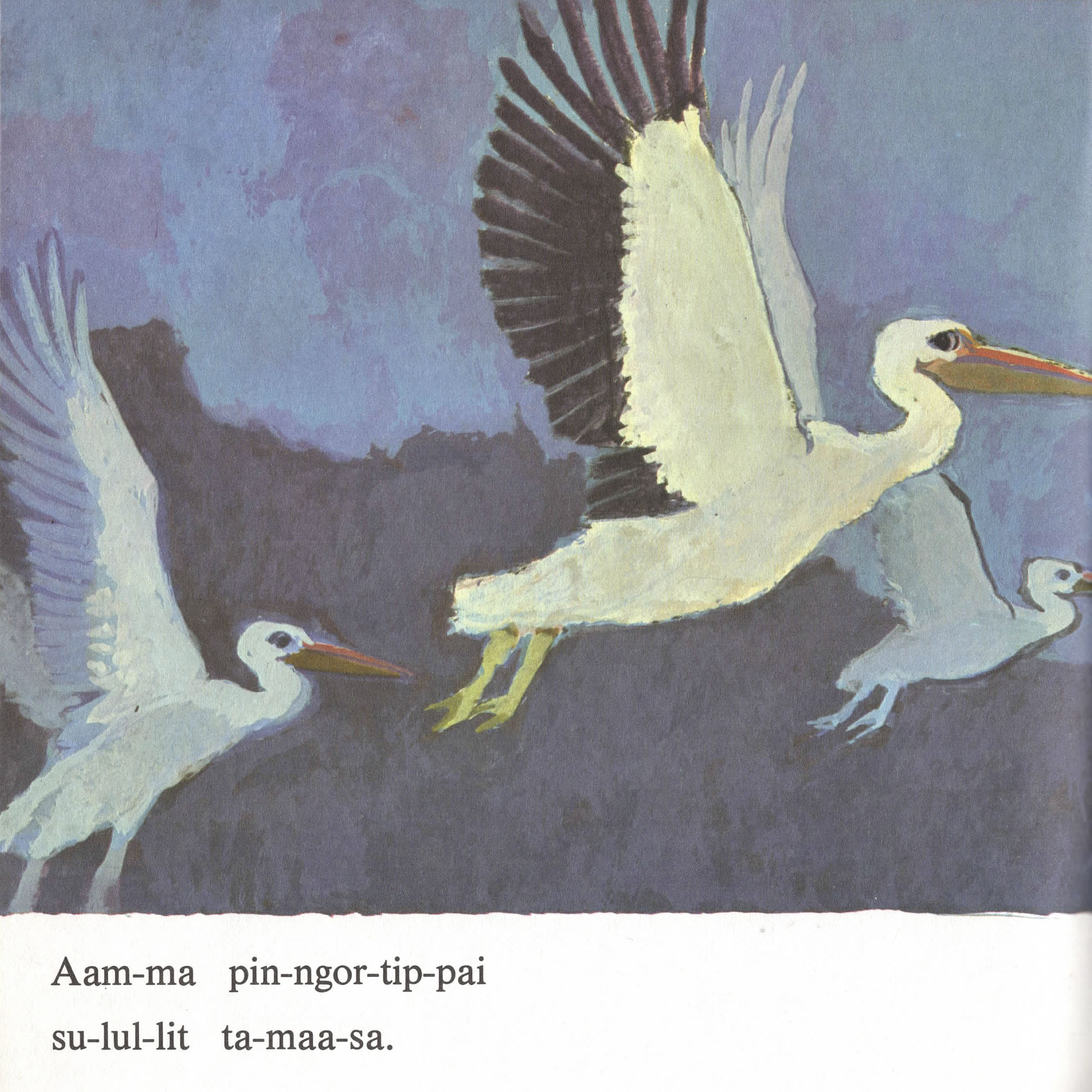 silarsuup pinngortitaanera